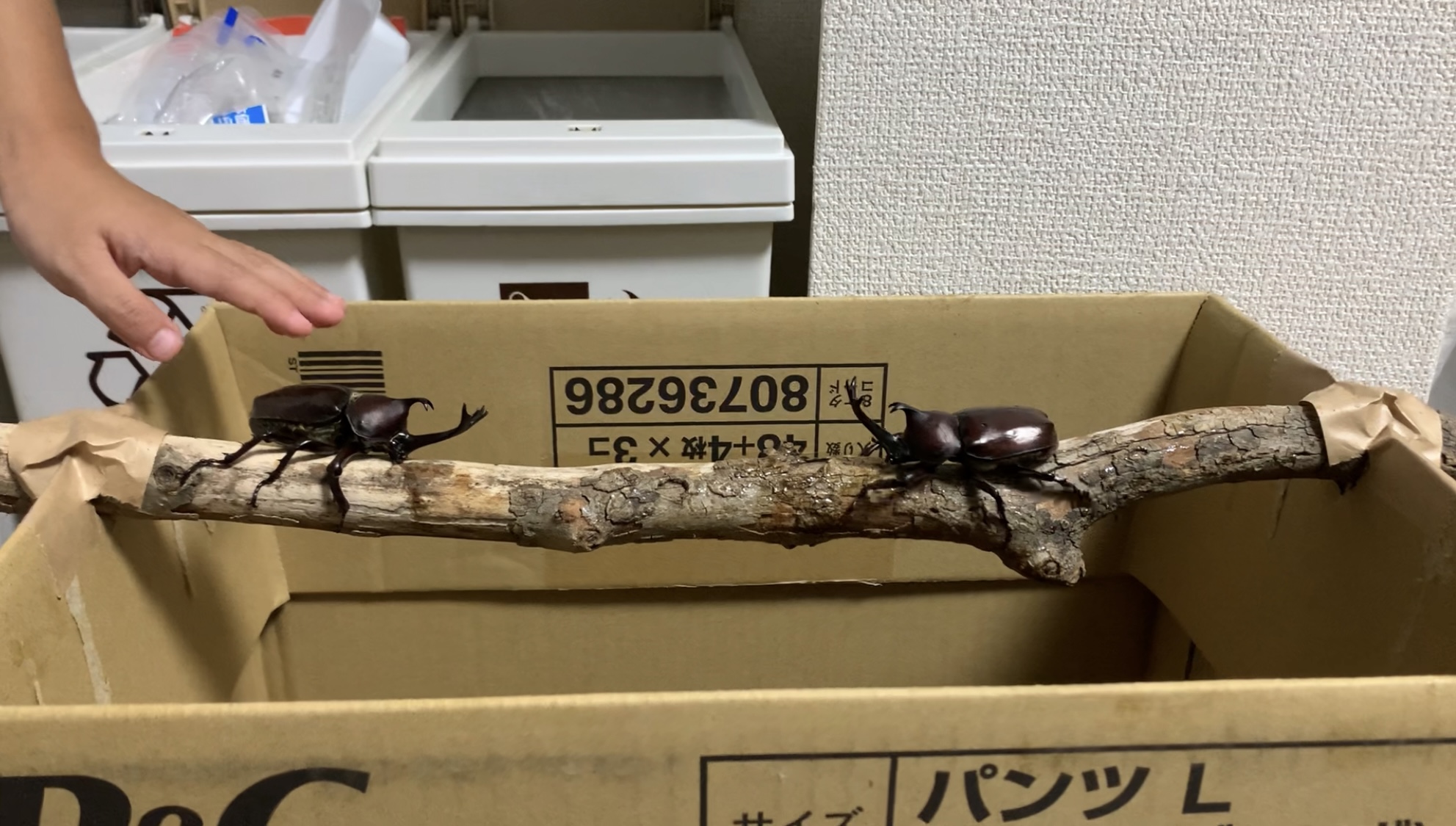 クリックで拡大(撮影:中野龍三)。