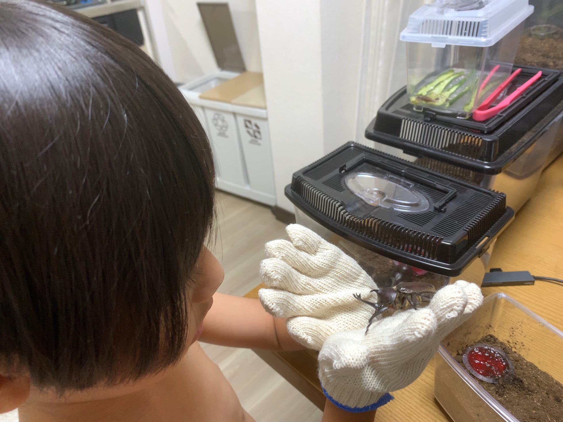クリックで拡大(撮影:中野龍三)。