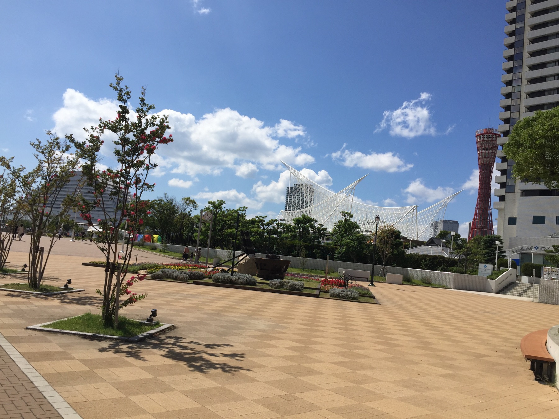 クリックで拡大(撮影:中野龍三)。