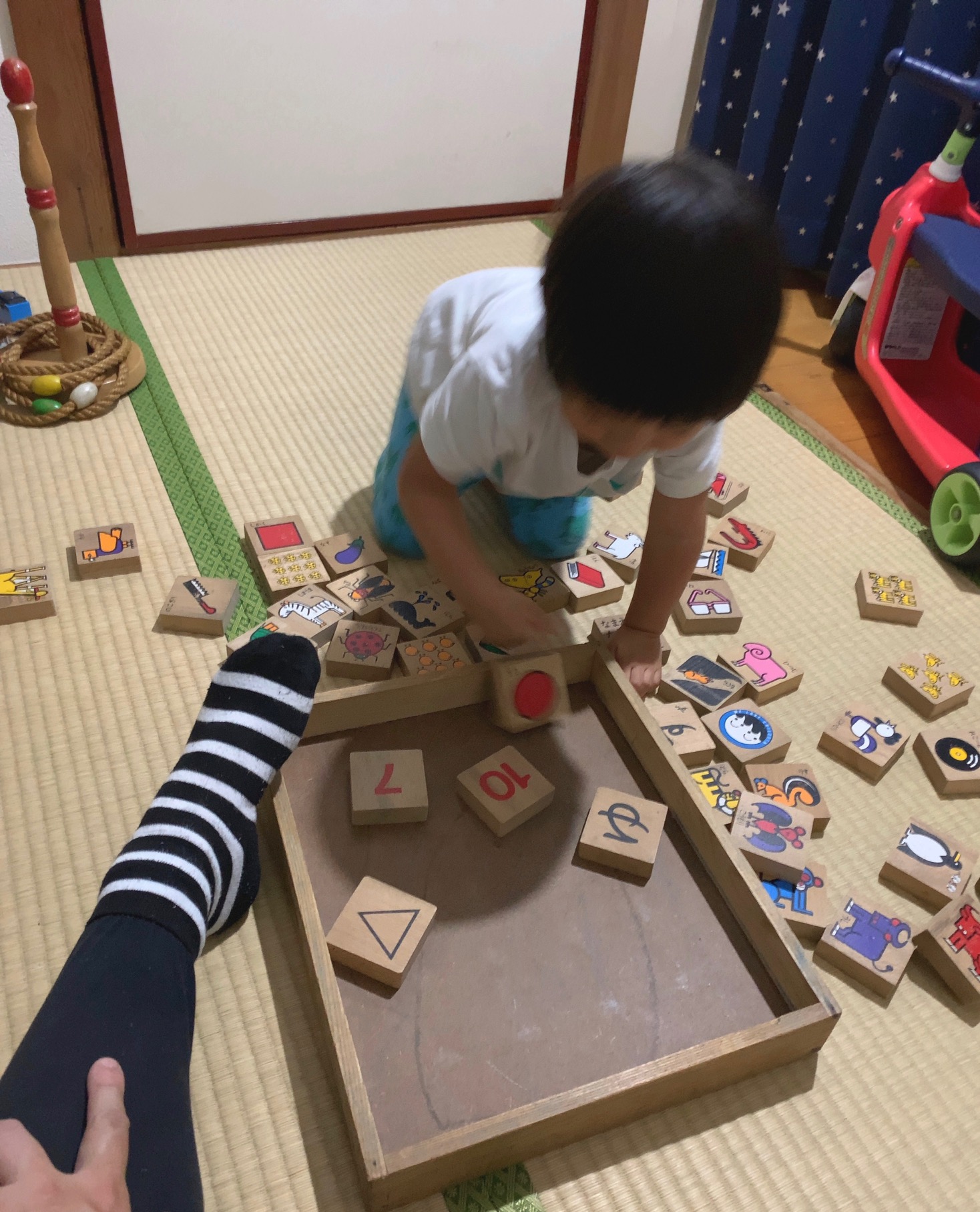 クリックで拡大(撮影:中野龍三)。