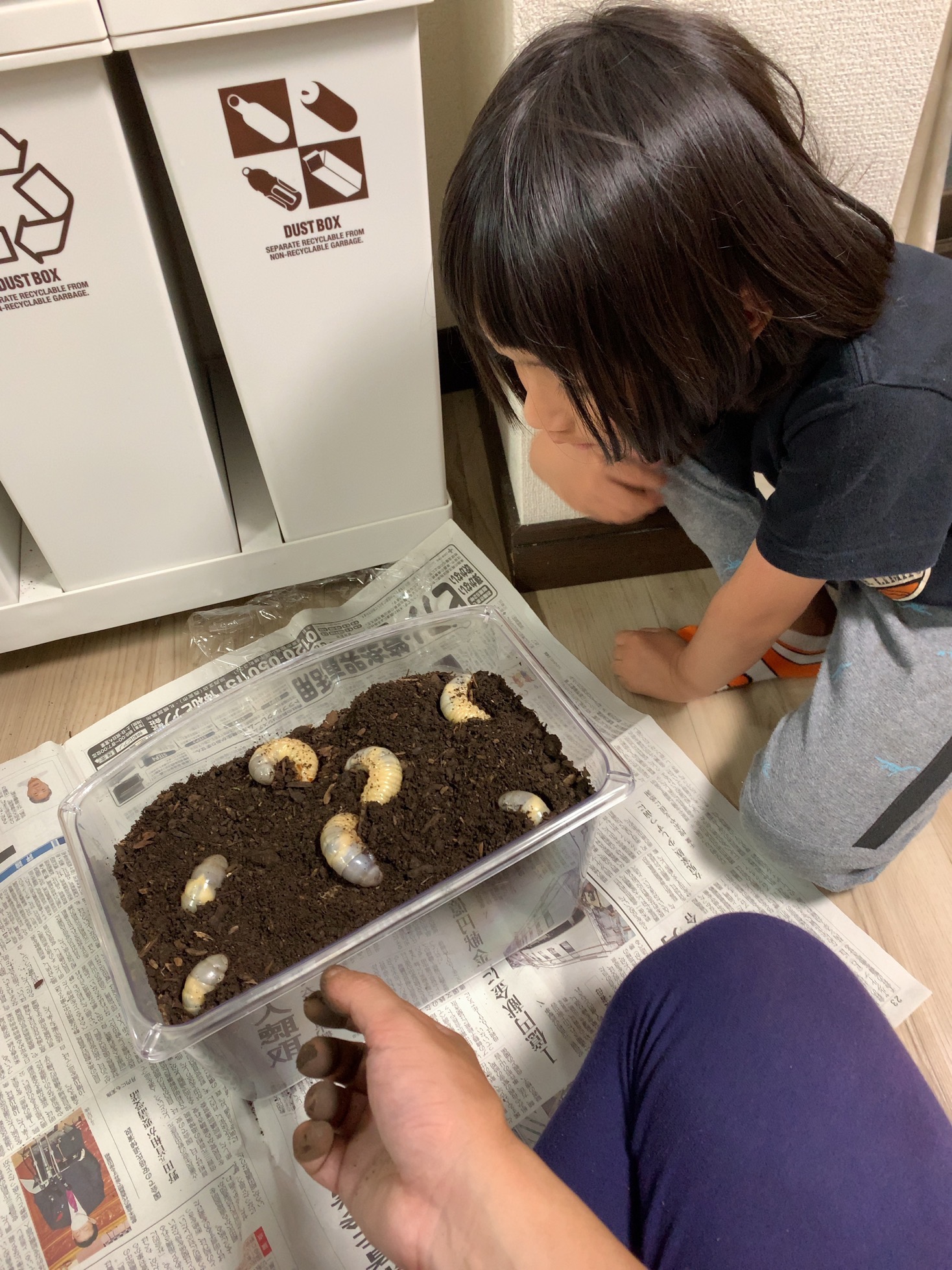 クリックで拡大(撮影:中野龍三)。