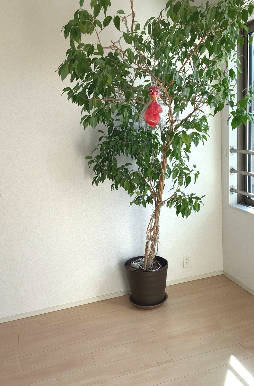 クリックで拡大(撮影:中野龍三)。