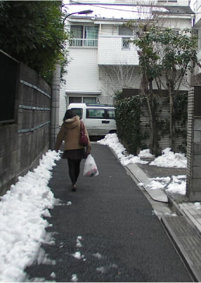 クリックで拡大。