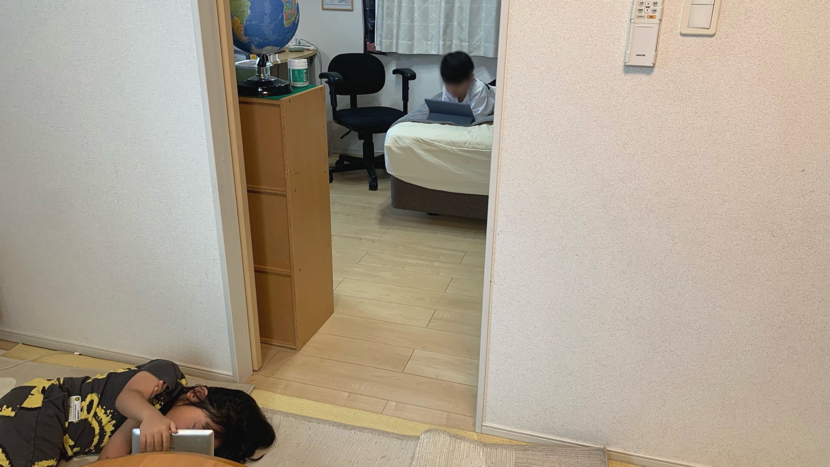 クリックで拡大(撮影:中野龍三)。