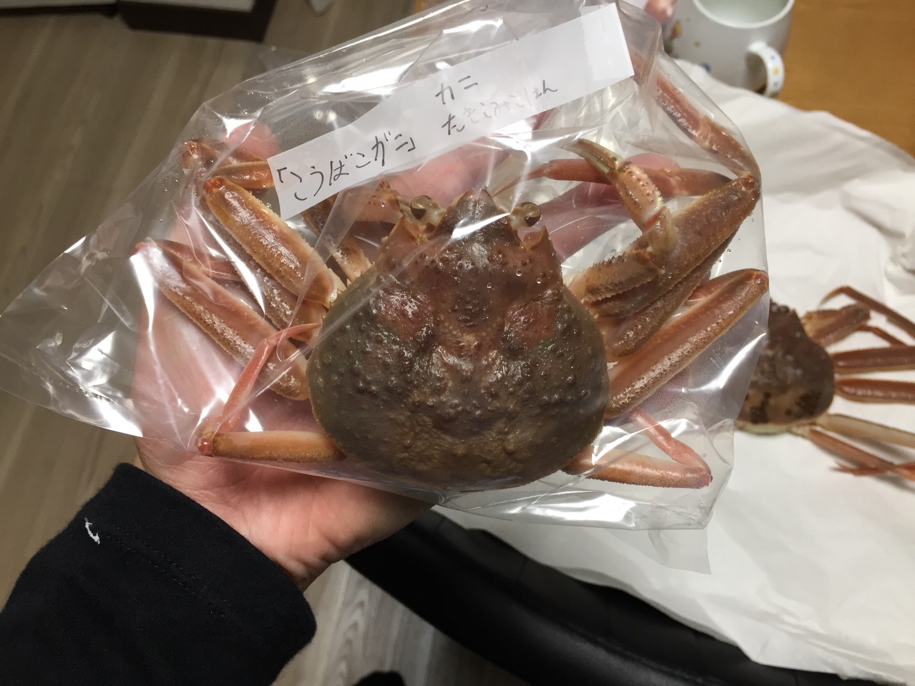 クリックで拡大(撮影:中野龍三)。