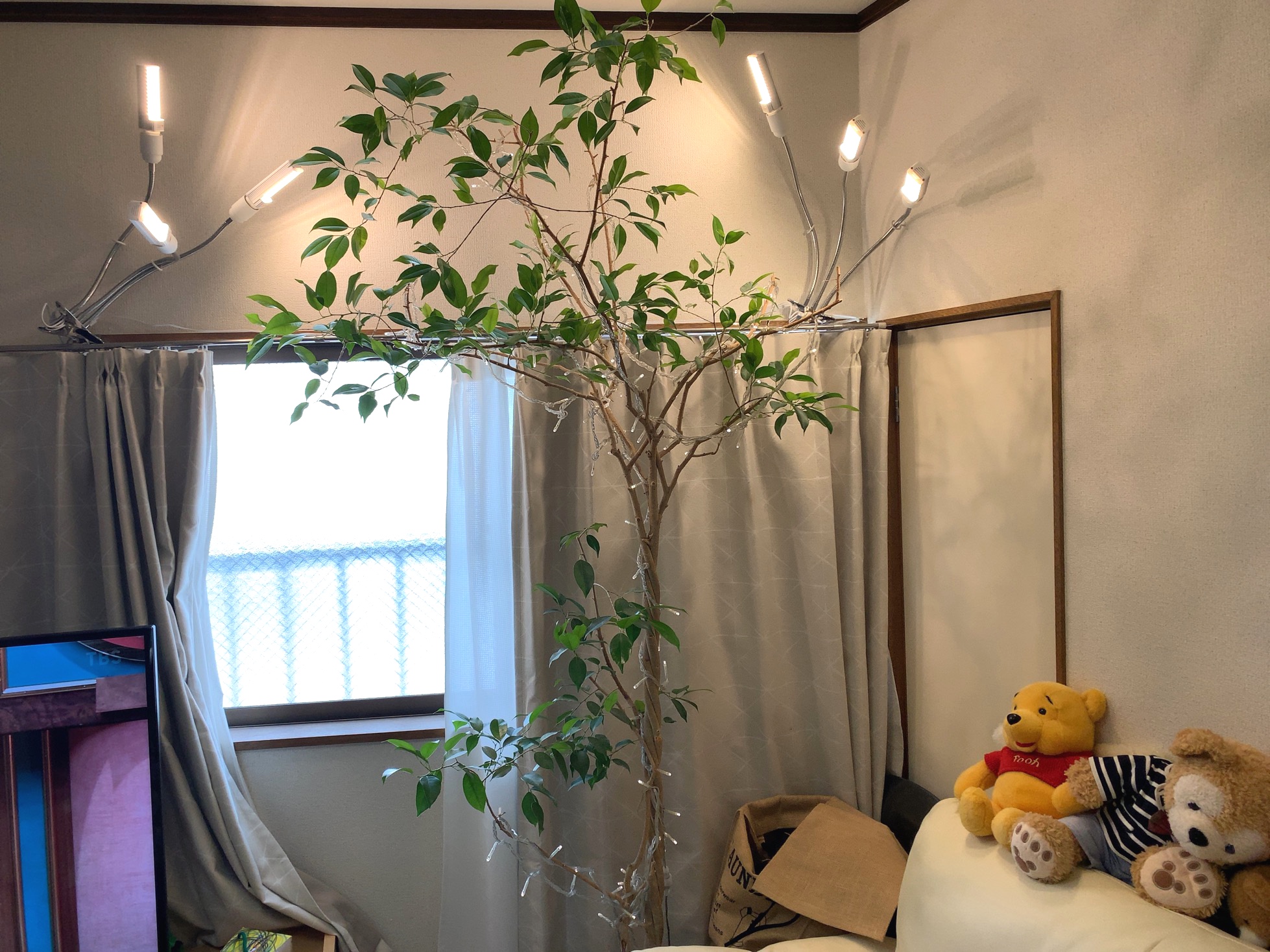 クリックで拡大(撮影:中野龍三)。