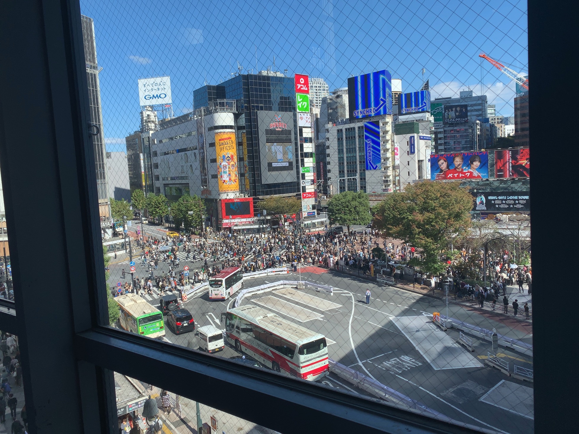 クリックで拡大(撮影:中野龍三)。