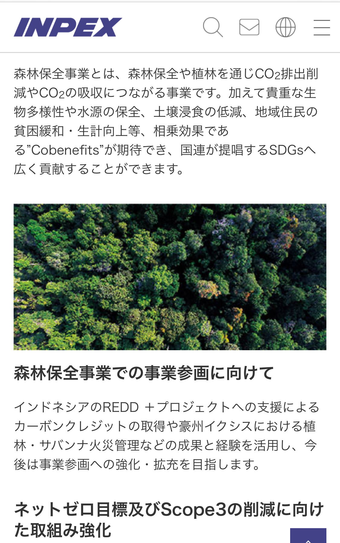 クリックで拡大(撮影:中野龍三)。