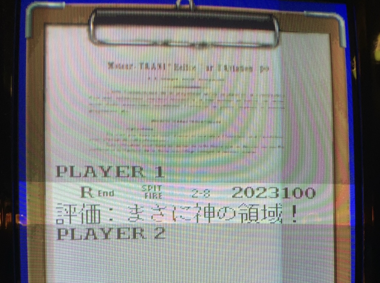 クリックで拡大(撮影:中野龍三)。