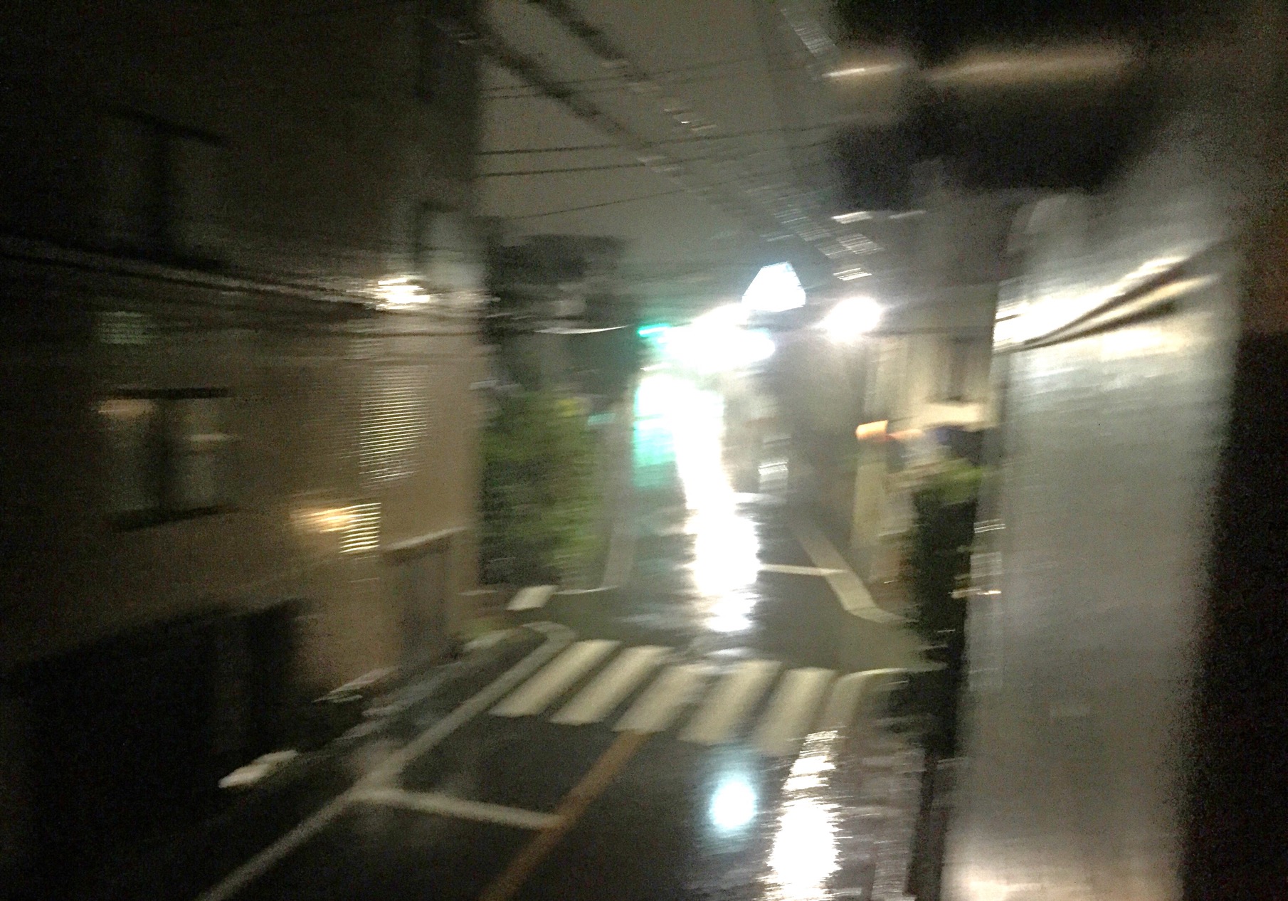 クリックで拡大(撮影:中野龍三)。