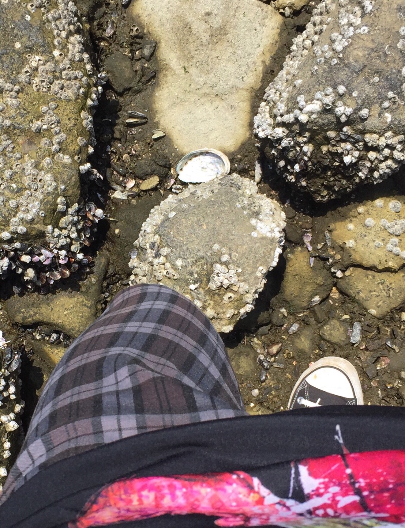 クリックで拡大(撮影:中野龍三)。