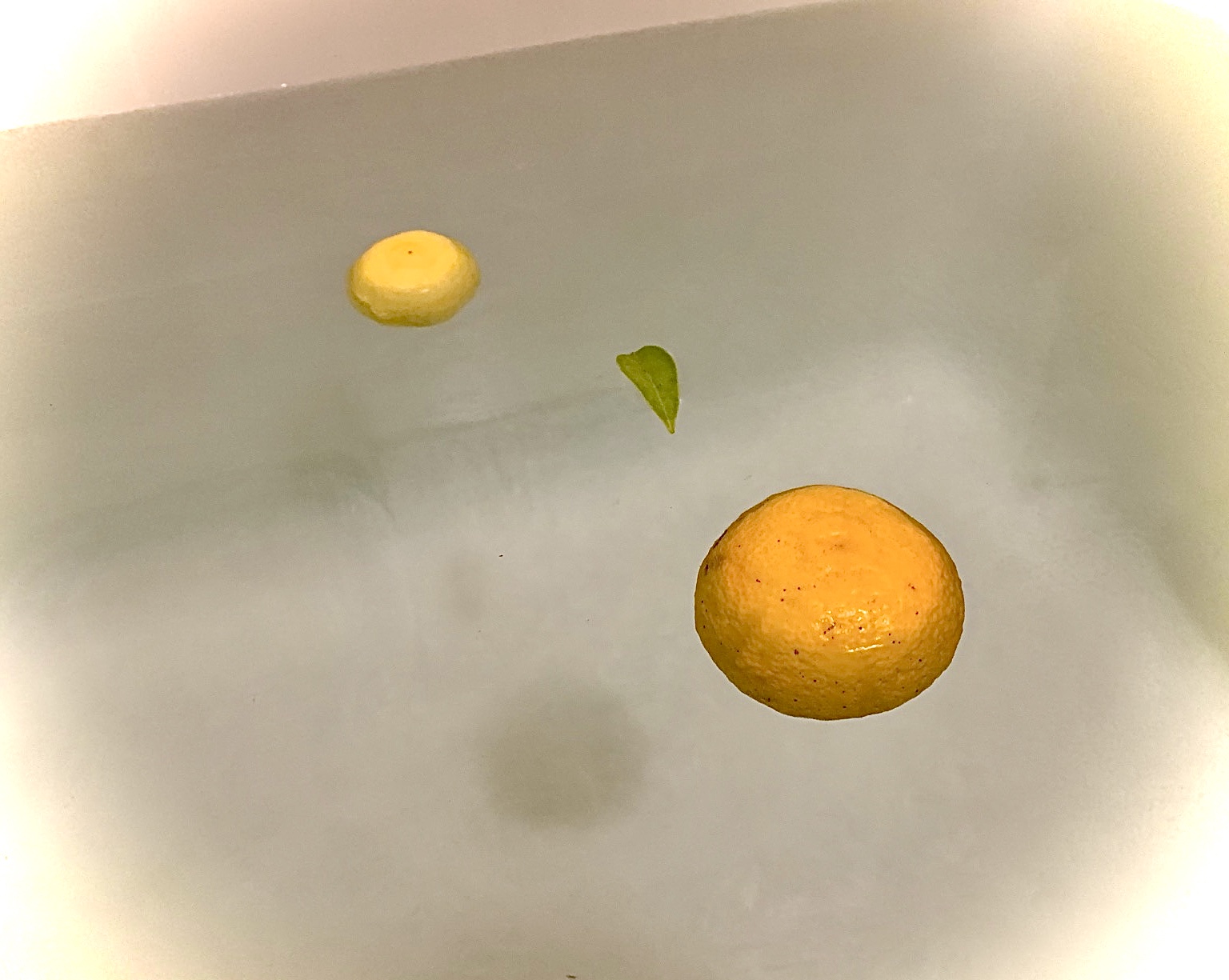 クリックで拡大(撮影:中野龍三)。