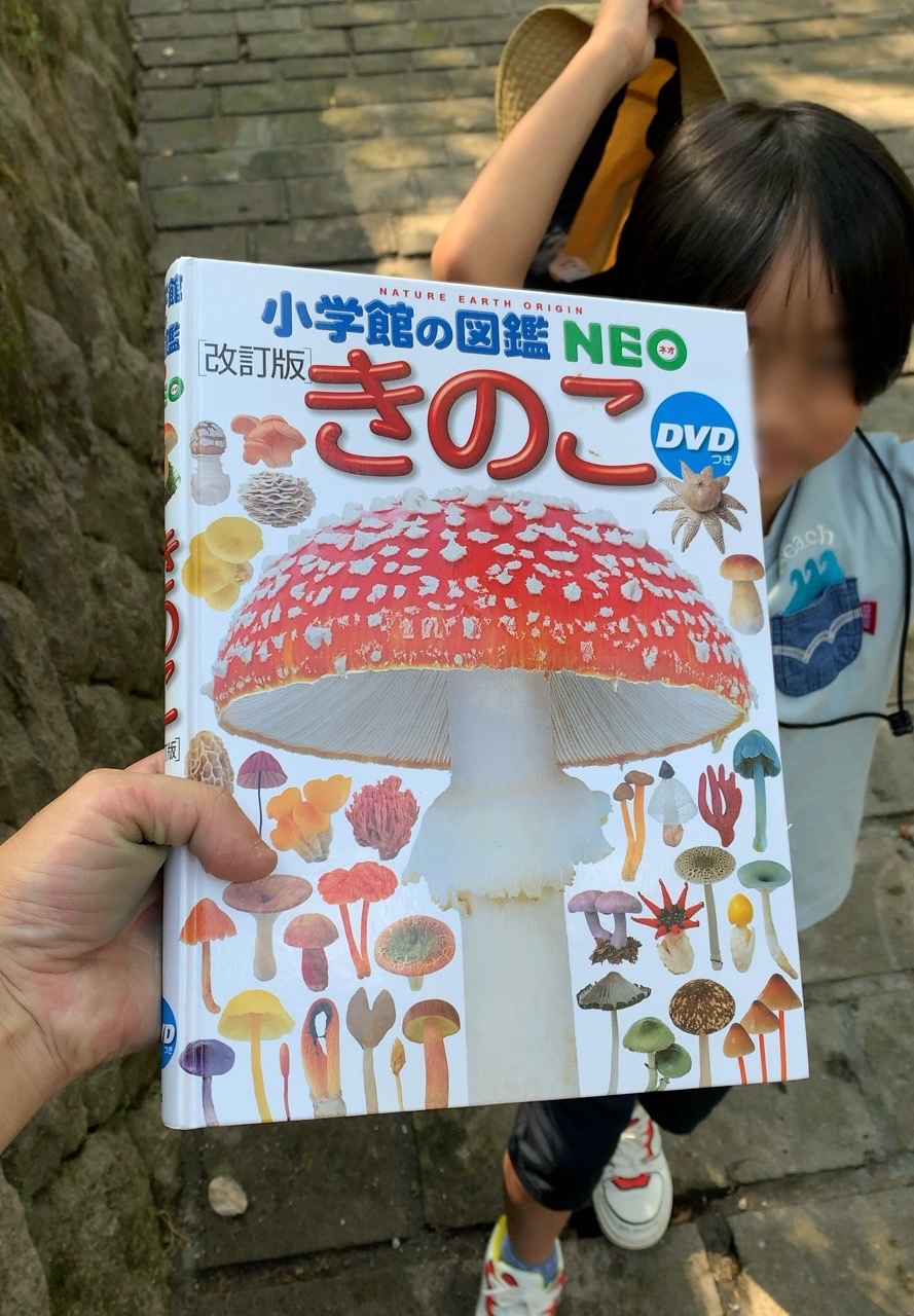 クリックで拡大(撮影:中野龍三)。