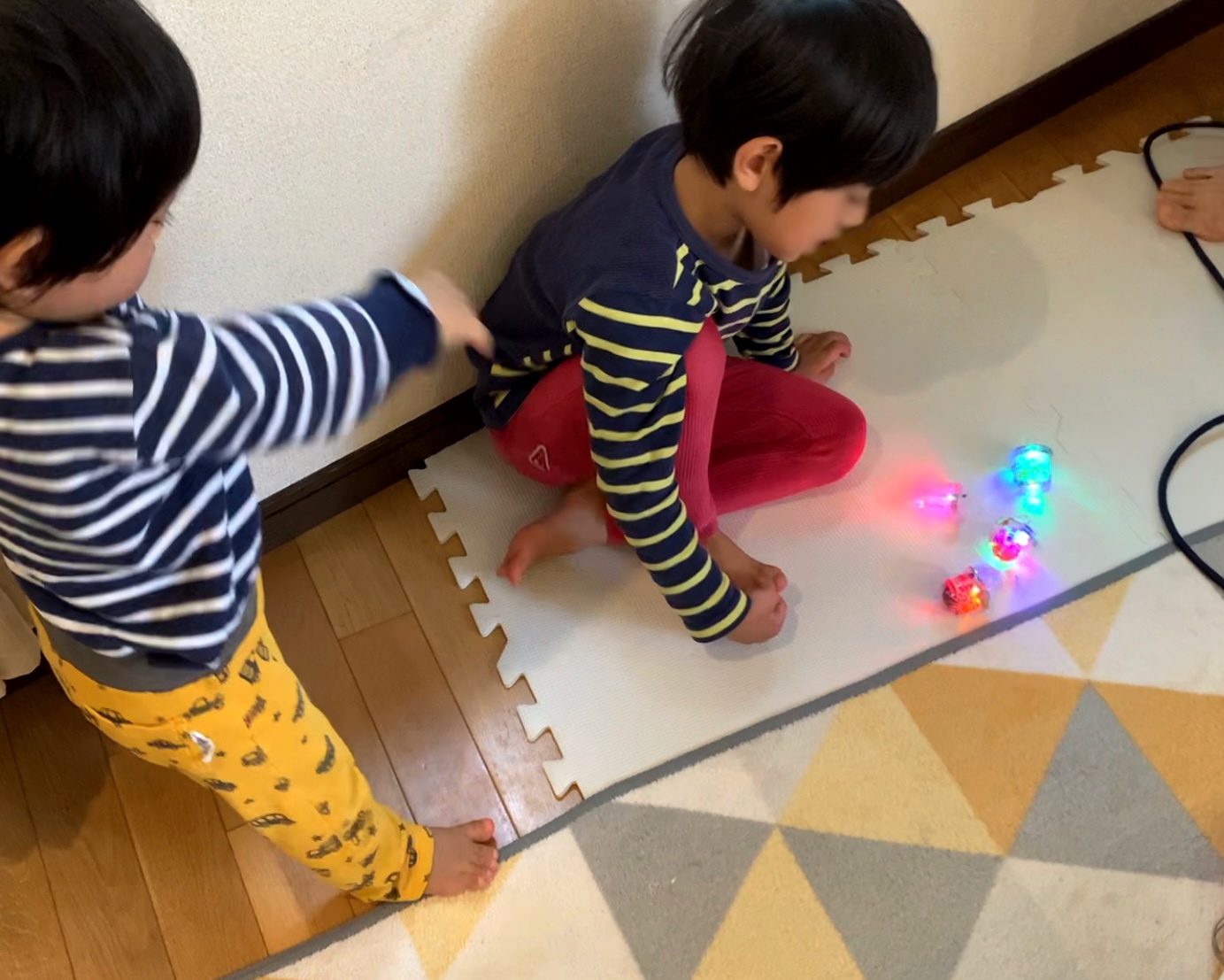 クリックで拡大(撮影:中野龍三)。