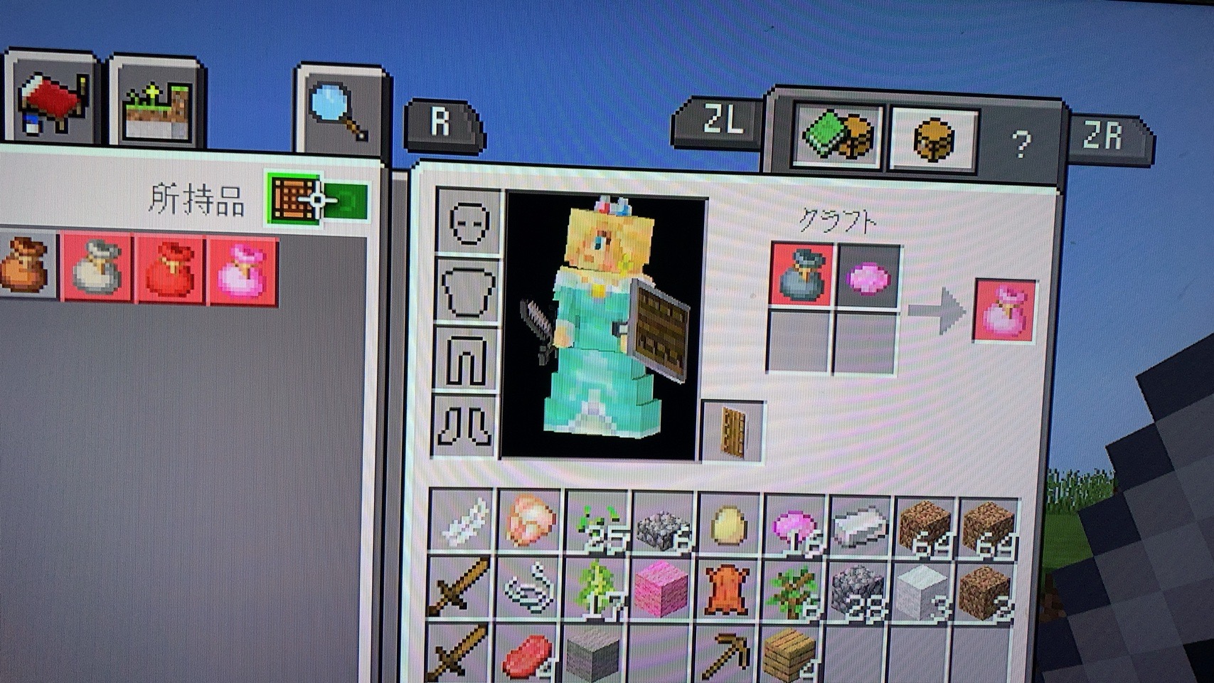 クリックで拡大(撮影:中野龍三)。