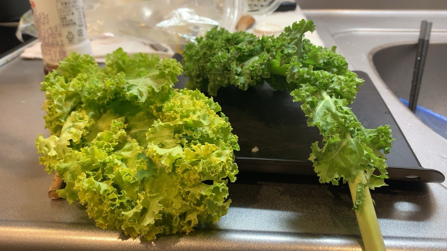 クリックで拡大(撮影:中野龍三)。