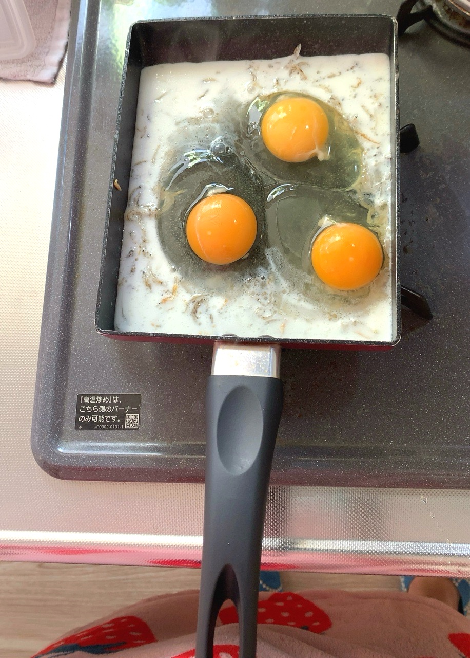 クリックで拡大(撮影:中野龍三)。