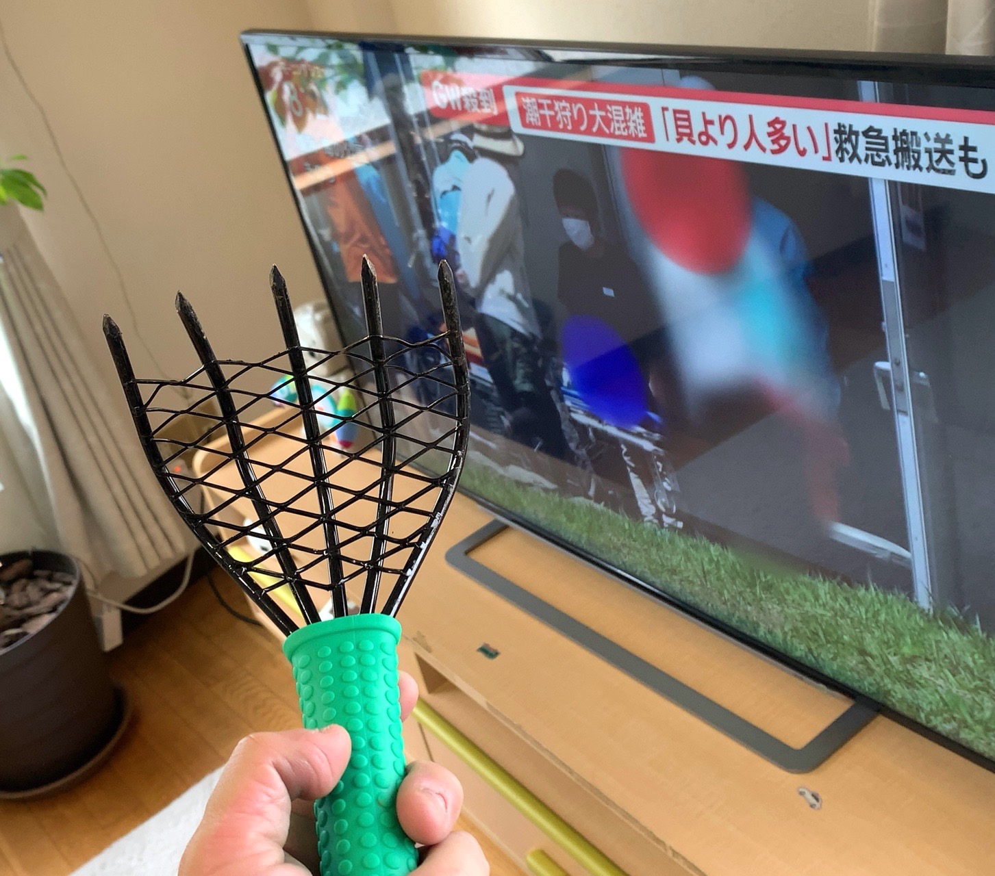 クリックで拡大(撮影:中野龍三)。