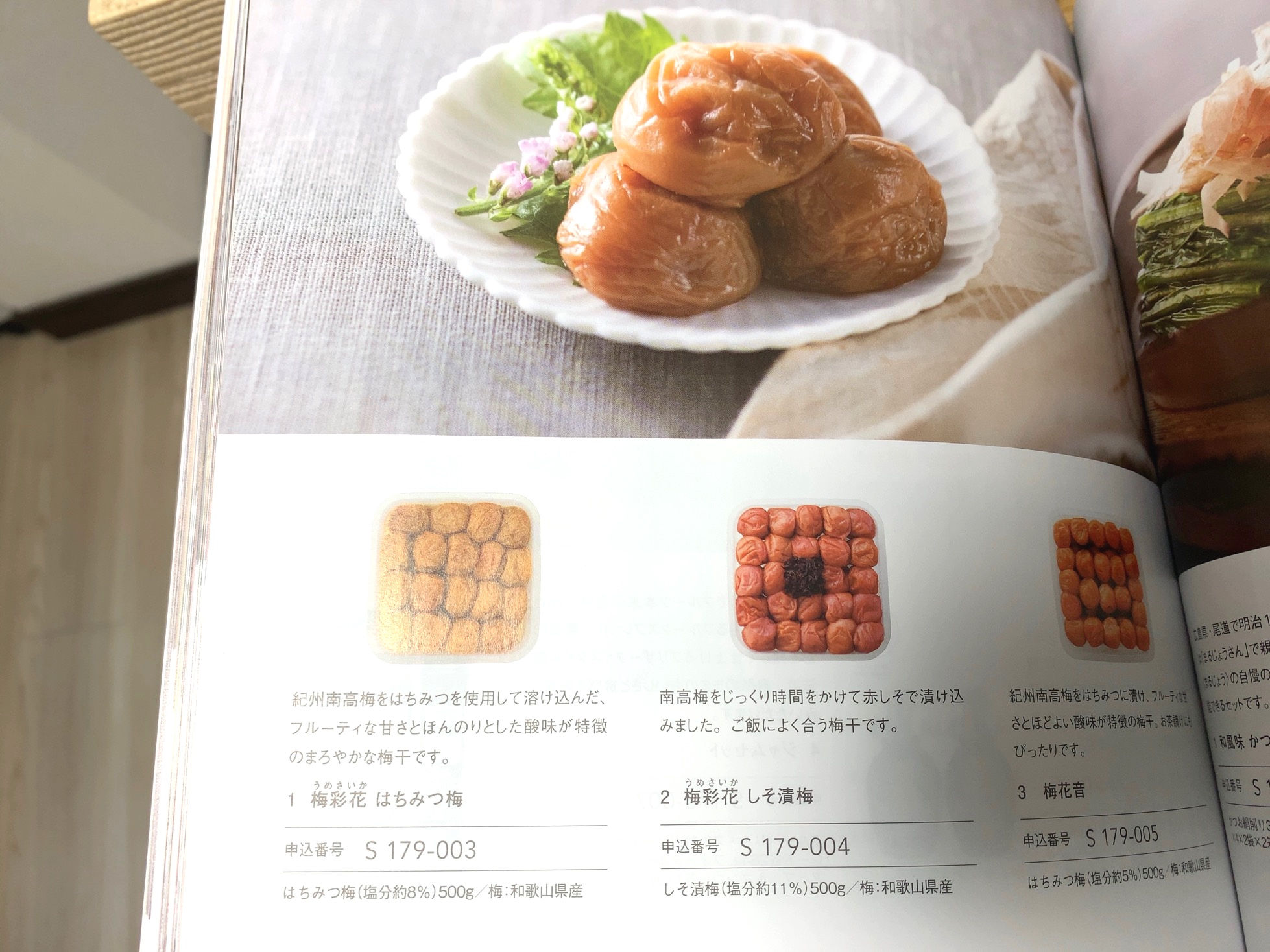 クリックで拡大(撮影:中野龍三)。