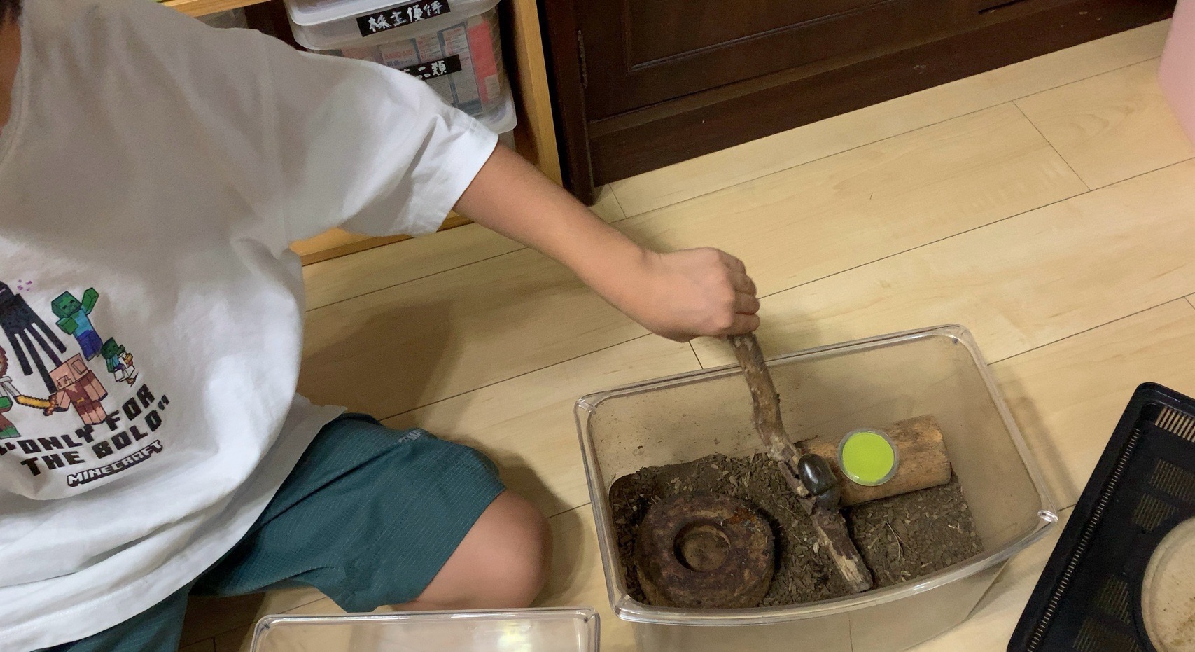 クリックで拡大(撮影:中野龍三)。