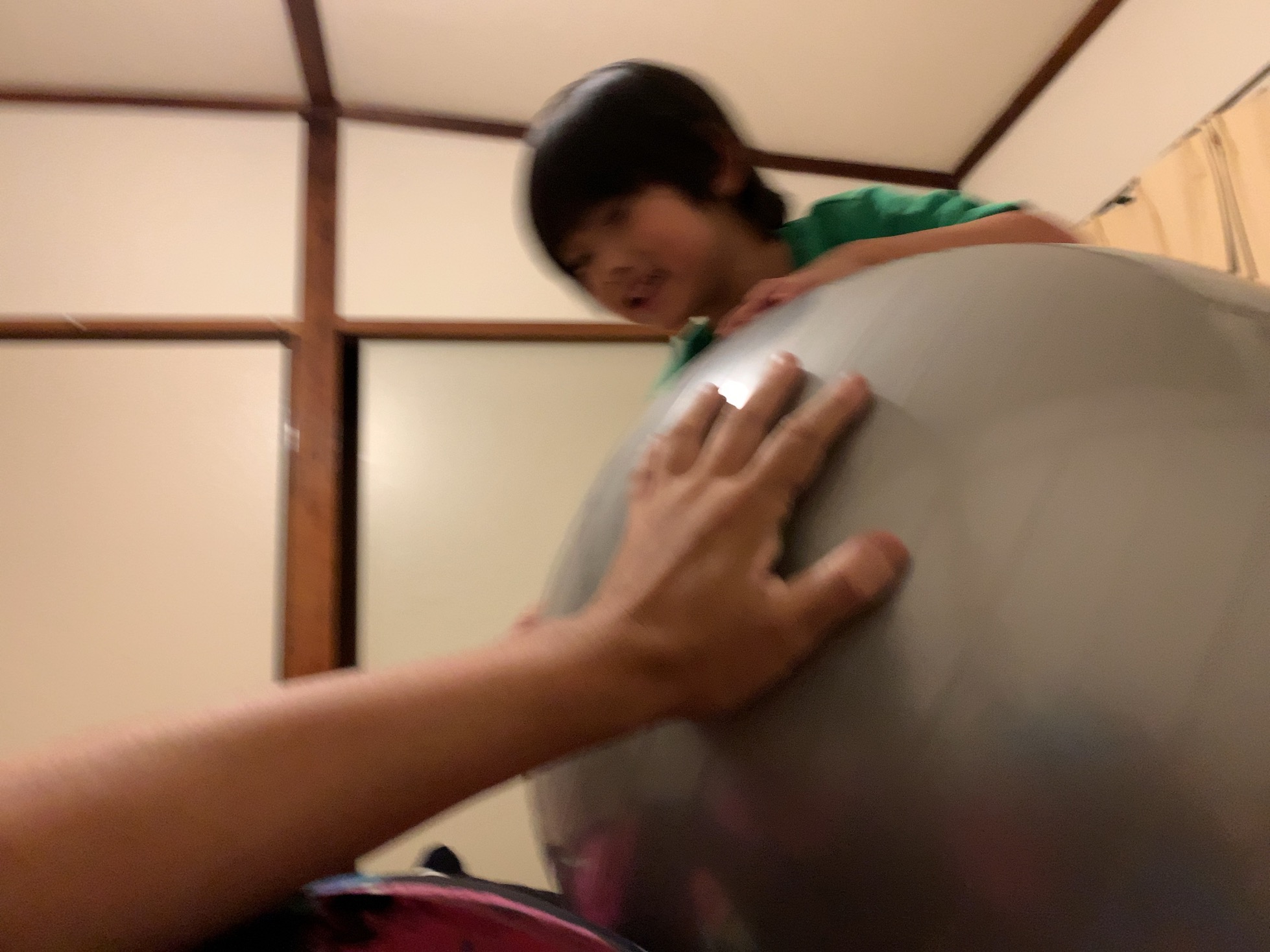 クリックで拡大(撮影:中野龍三)。