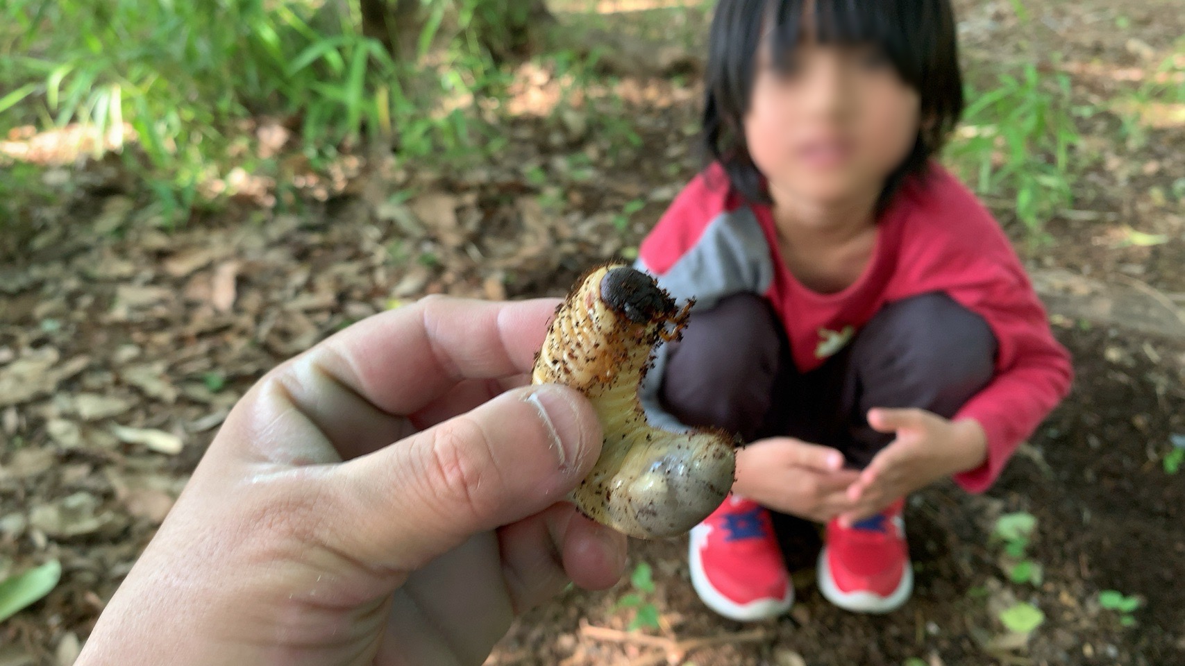 クリックで拡大(撮影:中野龍三)。