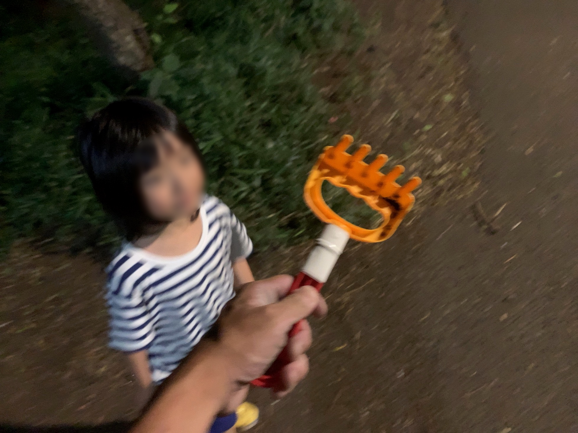 クリックで拡大(撮影:中野龍三)。