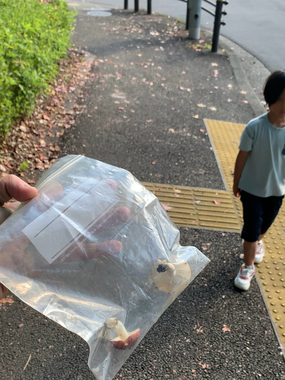 クリックで拡大(撮影:中野龍三)。