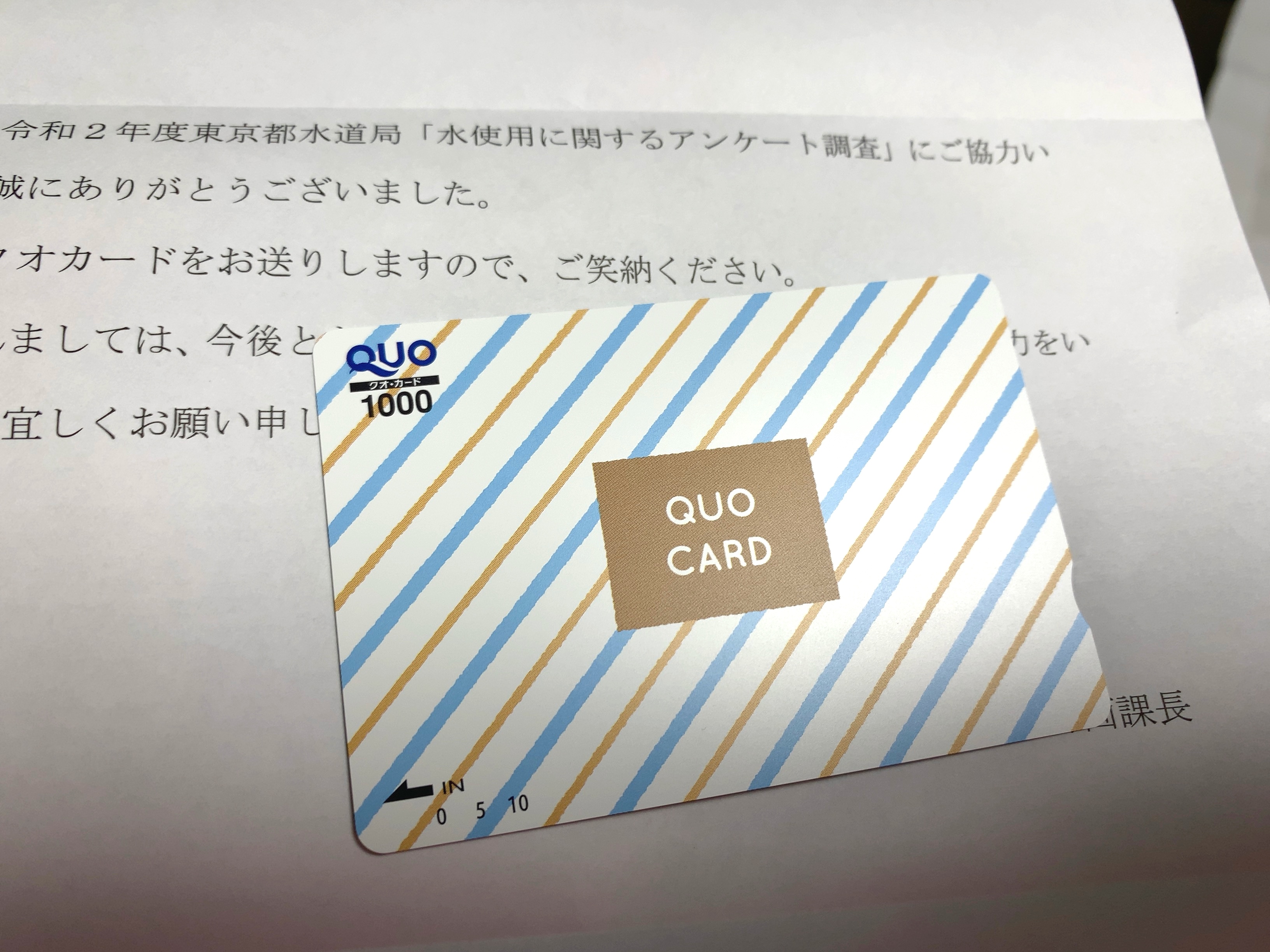 クリックで拡大(撮影:中野龍三)。
