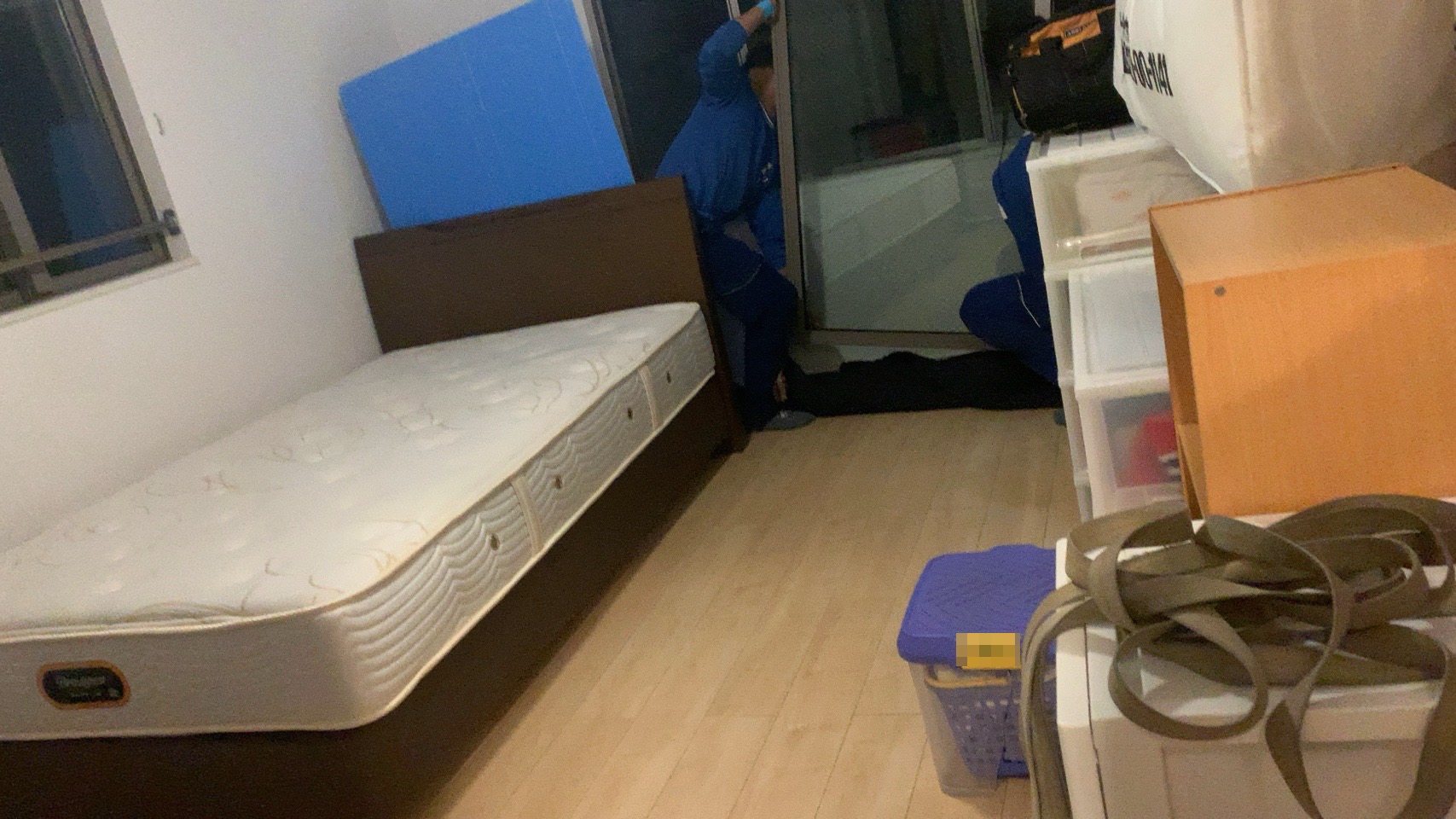 クリックで拡大(撮影:中野龍三)。