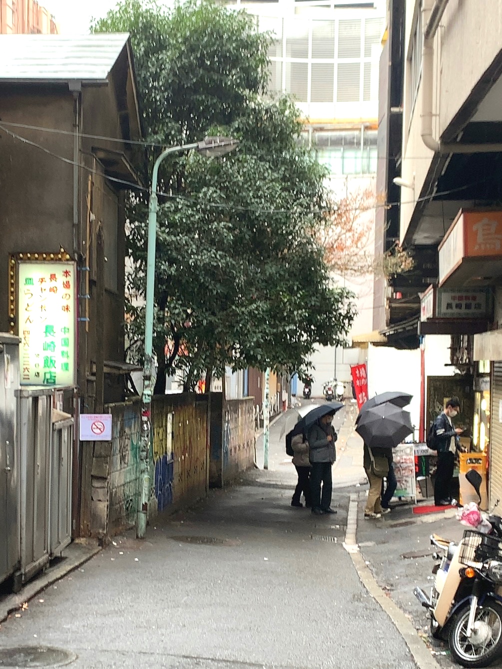 クリックで拡大(撮影:中野龍三)。