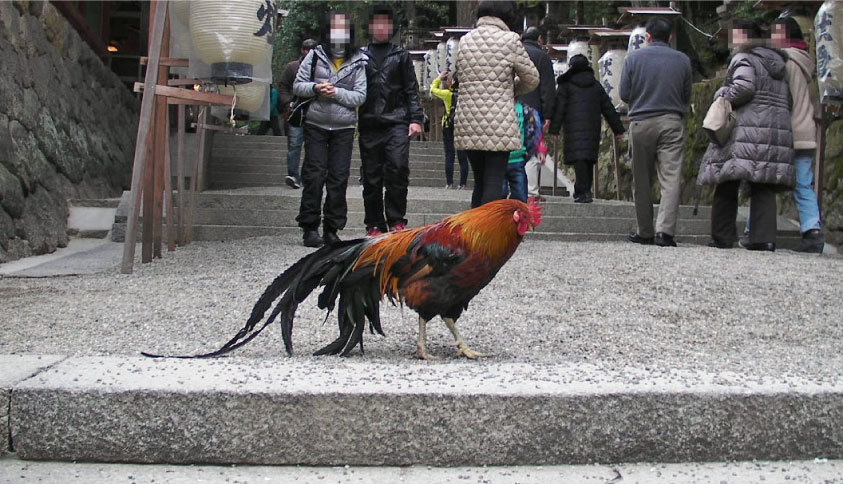 tenri140107-26