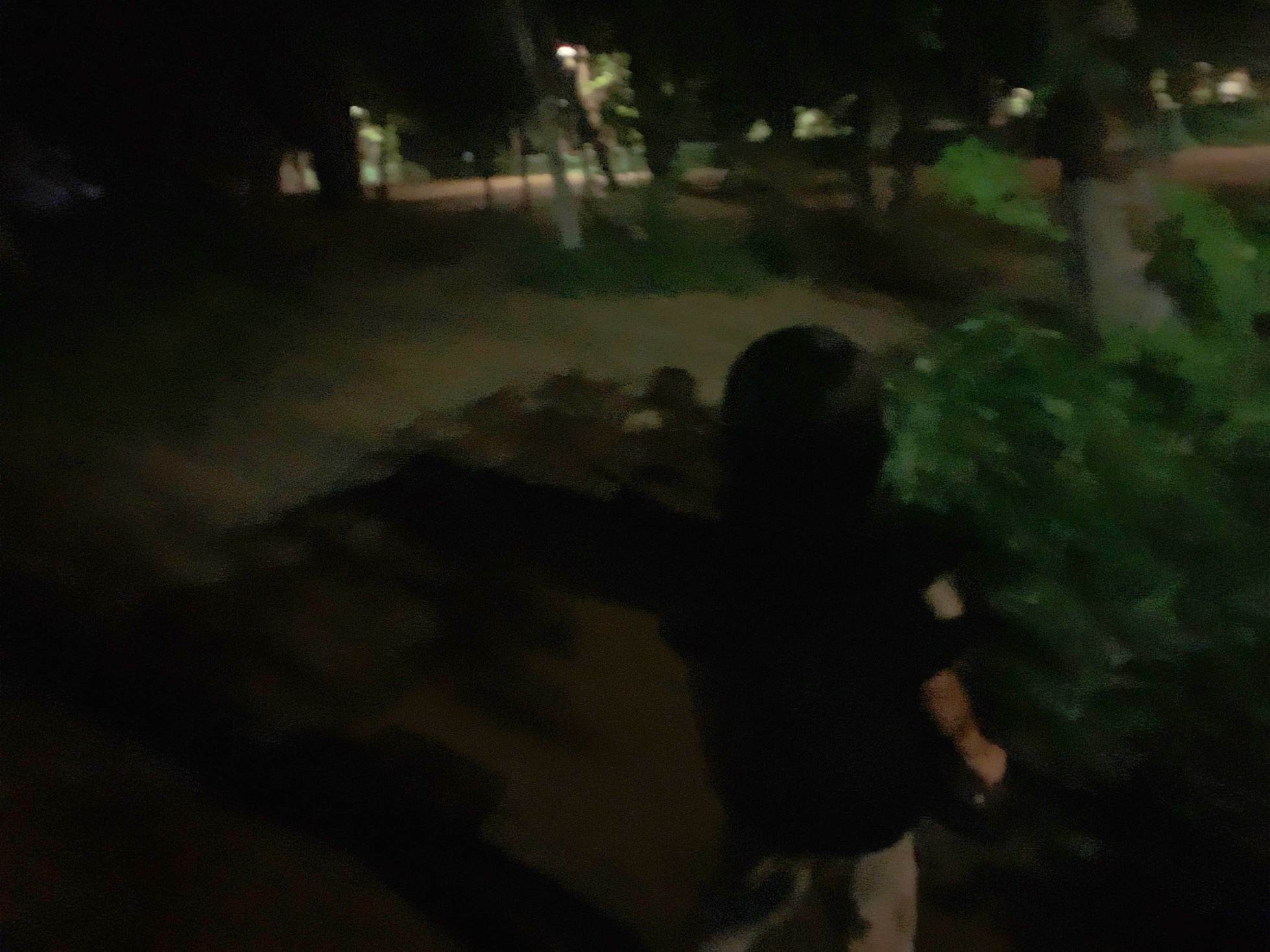 クリックで拡大(撮影:中野龍三)。