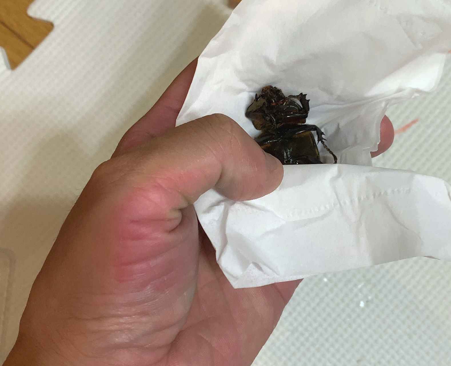 クリックで拡大(撮影:中野龍三)。