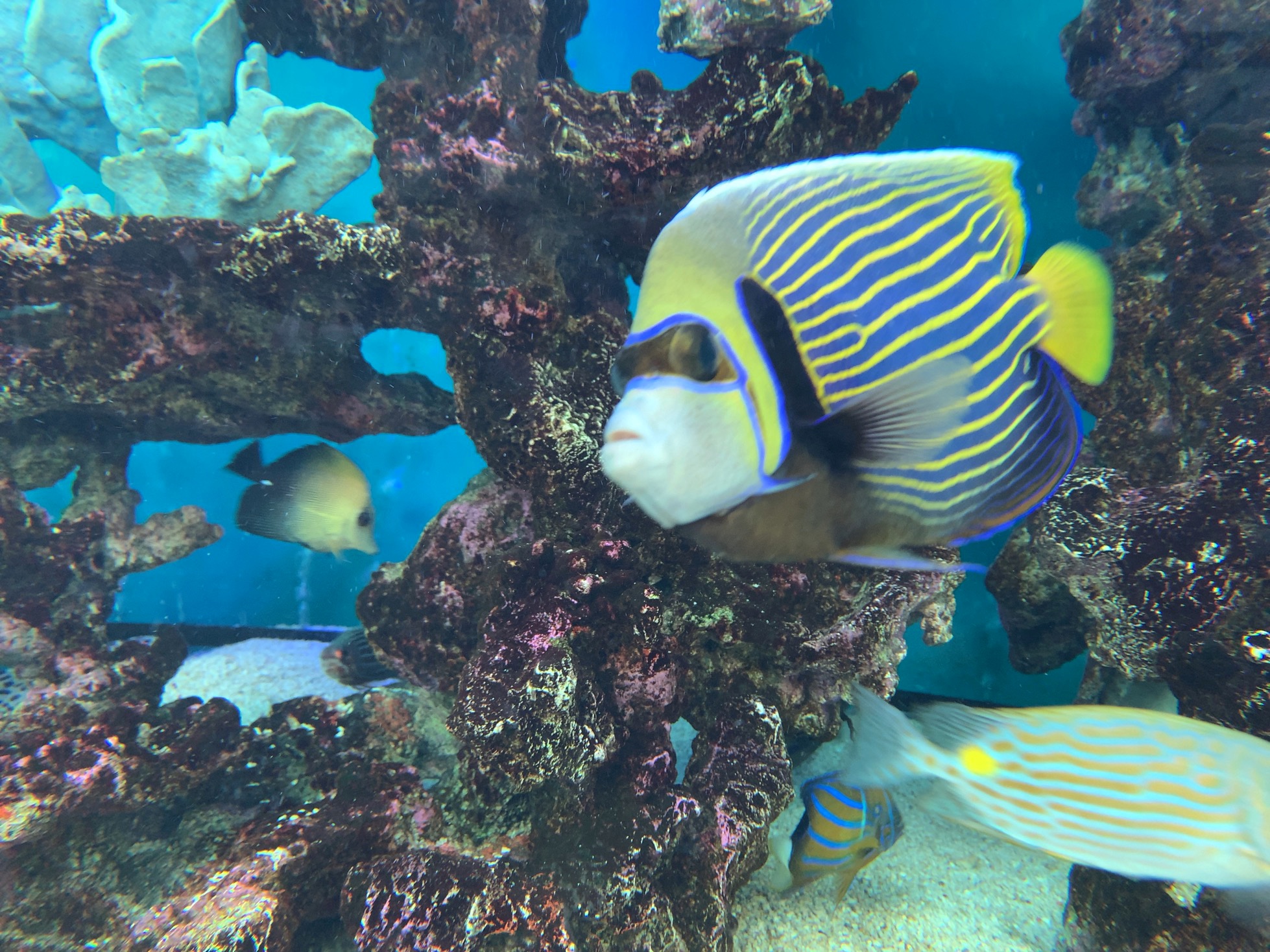 クリックで拡大(撮影:中野龍三)。