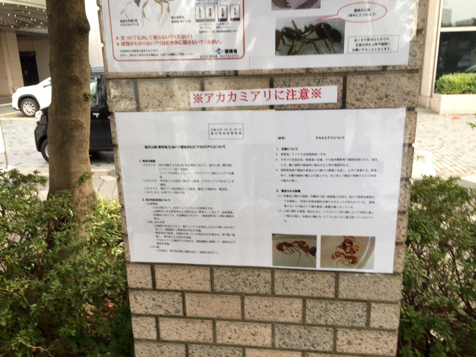 クリックで拡大(撮影:中野龍三)。