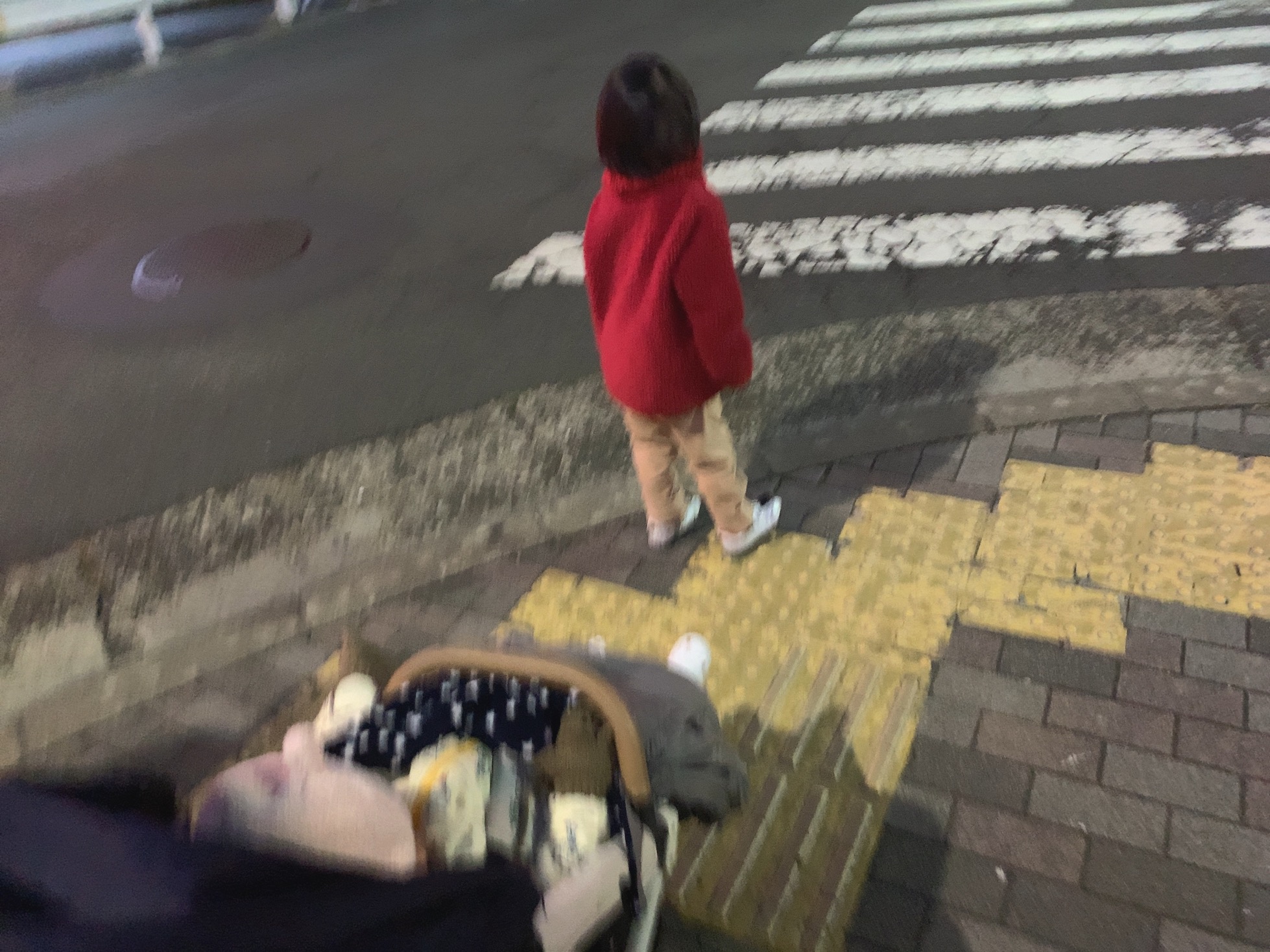 クリックで拡大(撮影:中野龍三)。