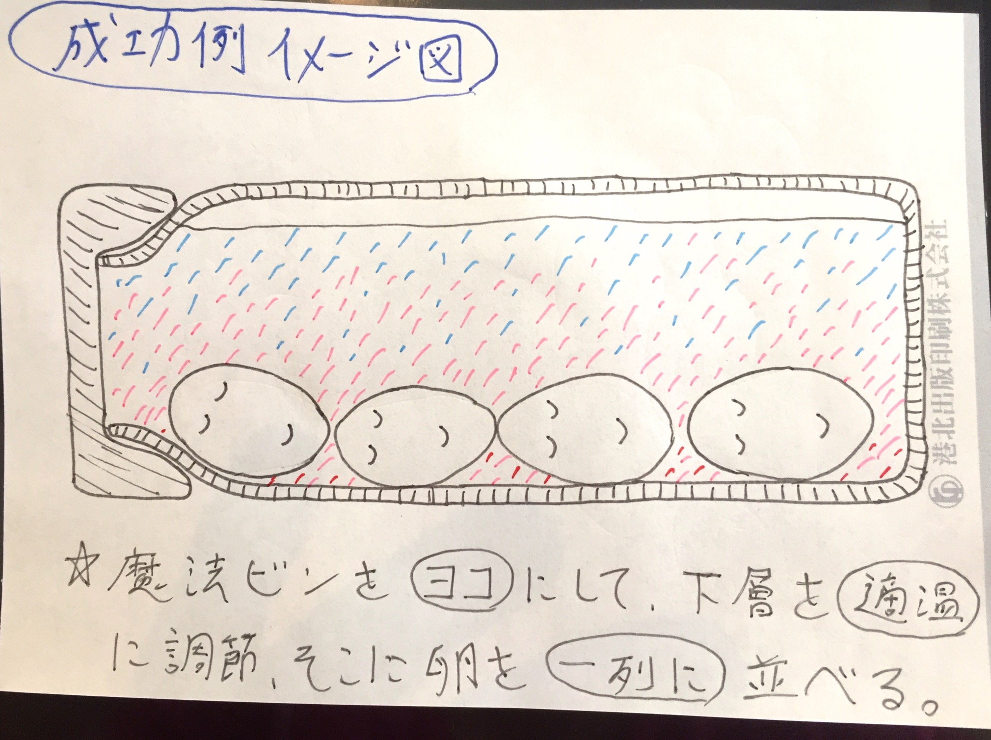 クリックで拡大(撮影:中野龍三)。