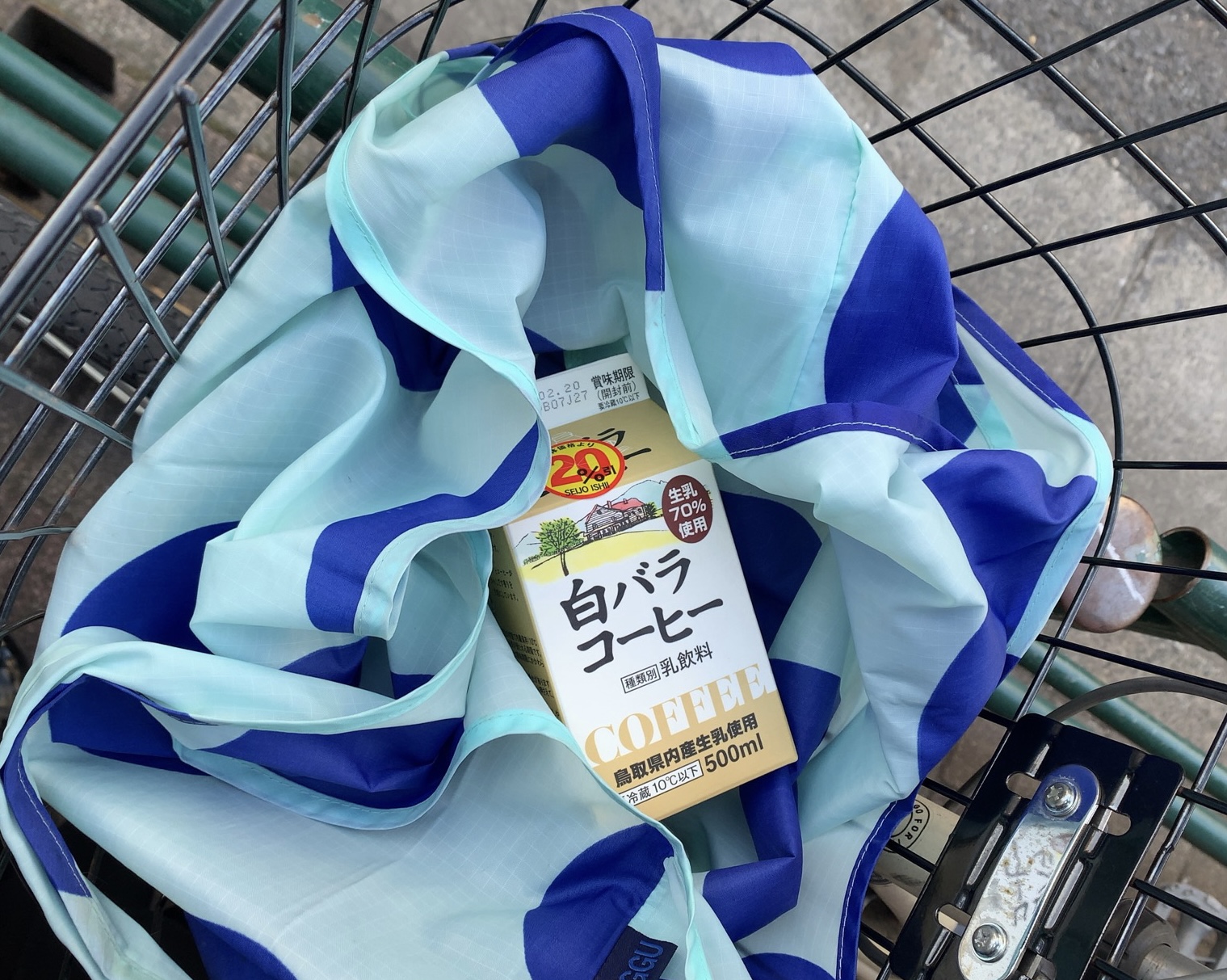 クリックで拡大(撮影:中野龍三)。