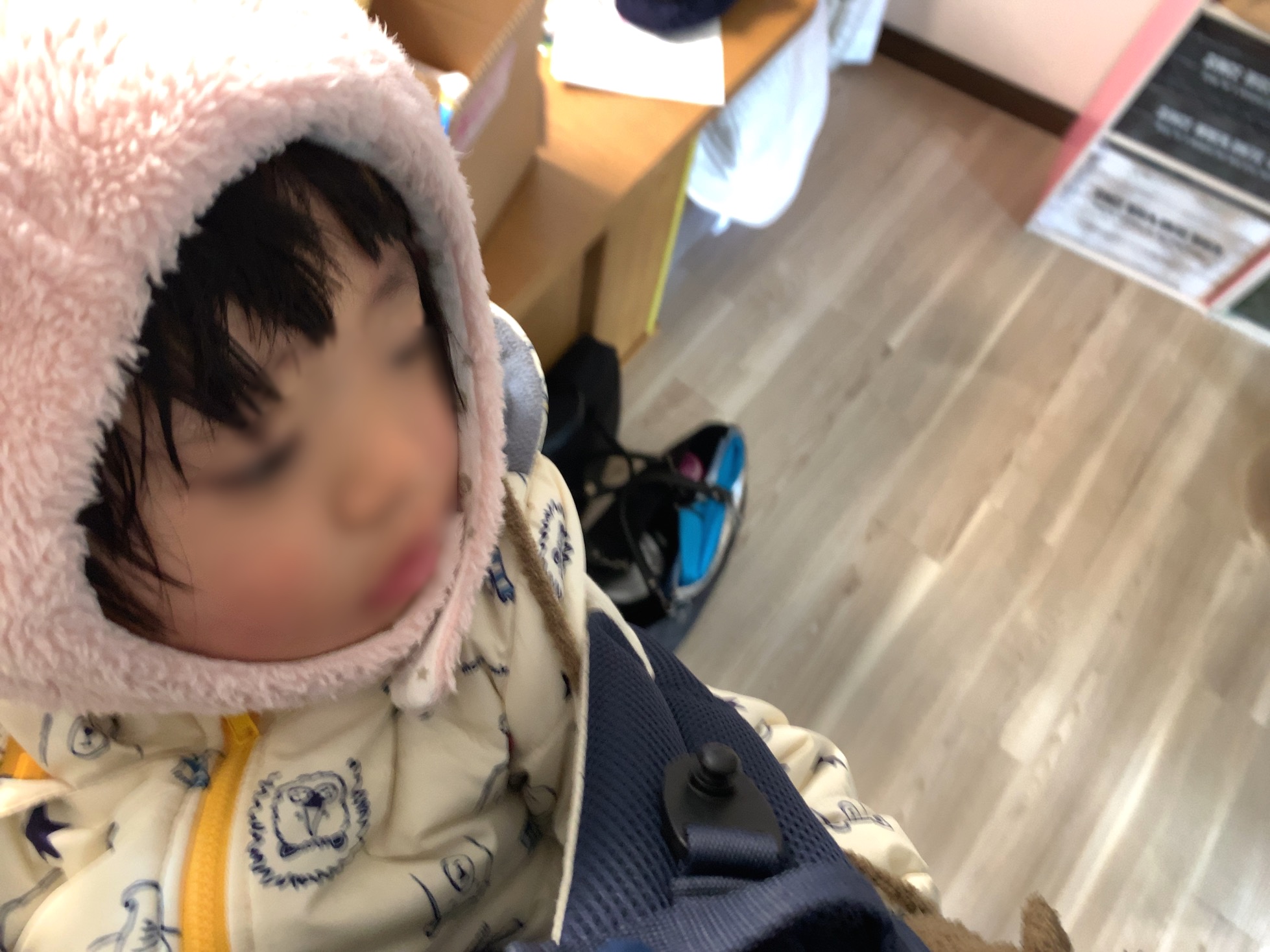 クリックで拡大(撮影:中野龍三)。