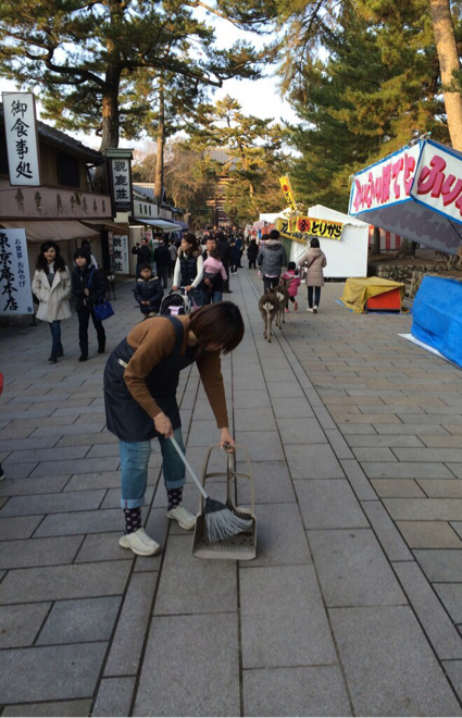 クリックで拡大。