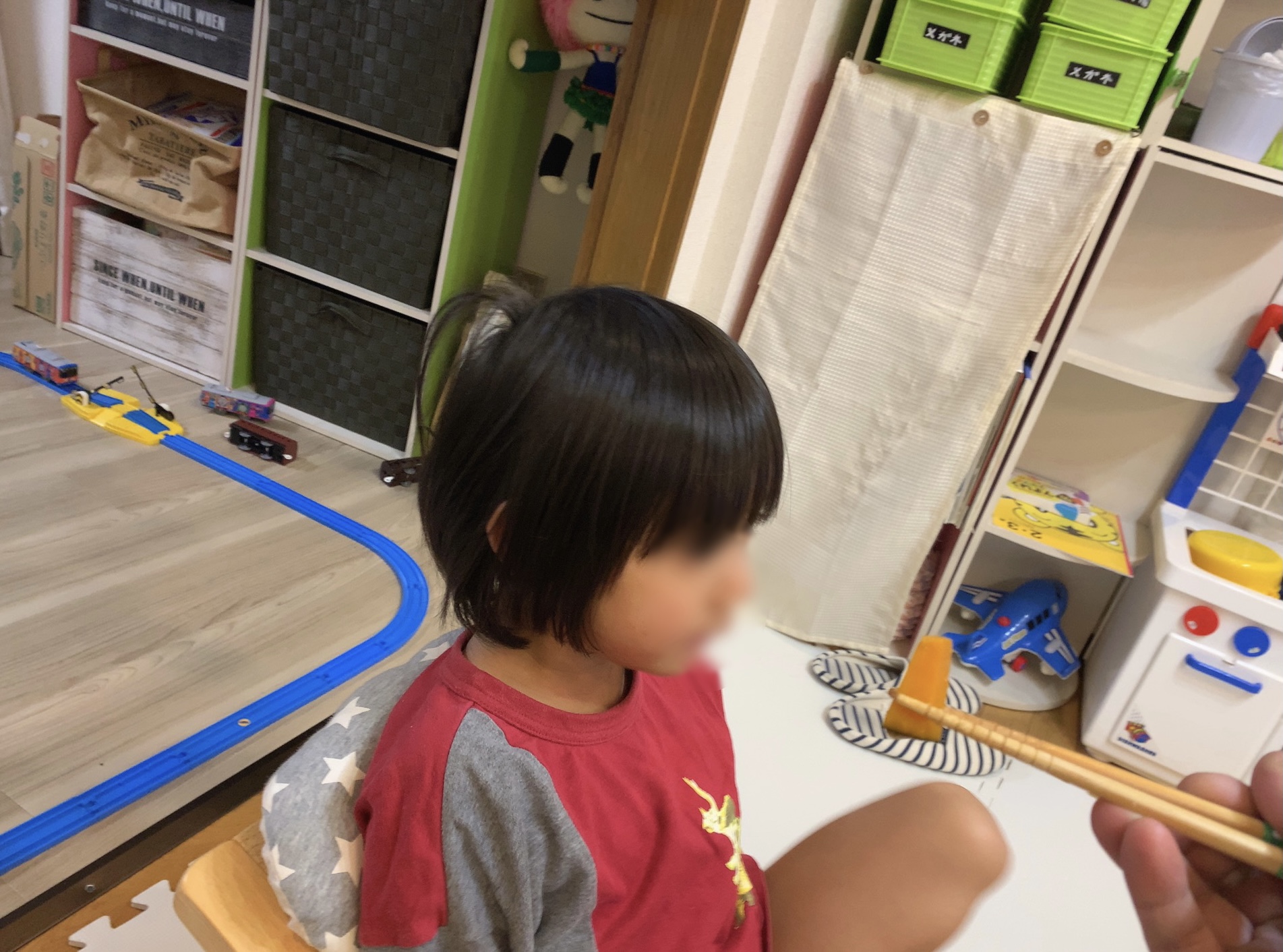 クリックで拡大(撮影:中野龍三)。