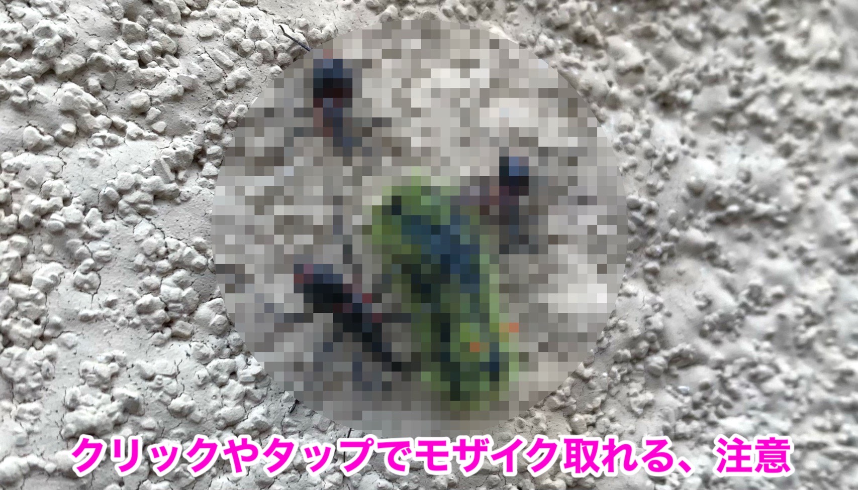 クリックで拡大（撮影：中野龍三）。