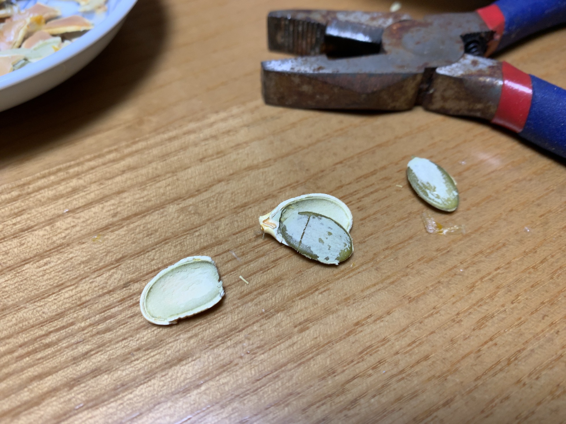 クリックで拡大(撮影:中野龍三)。