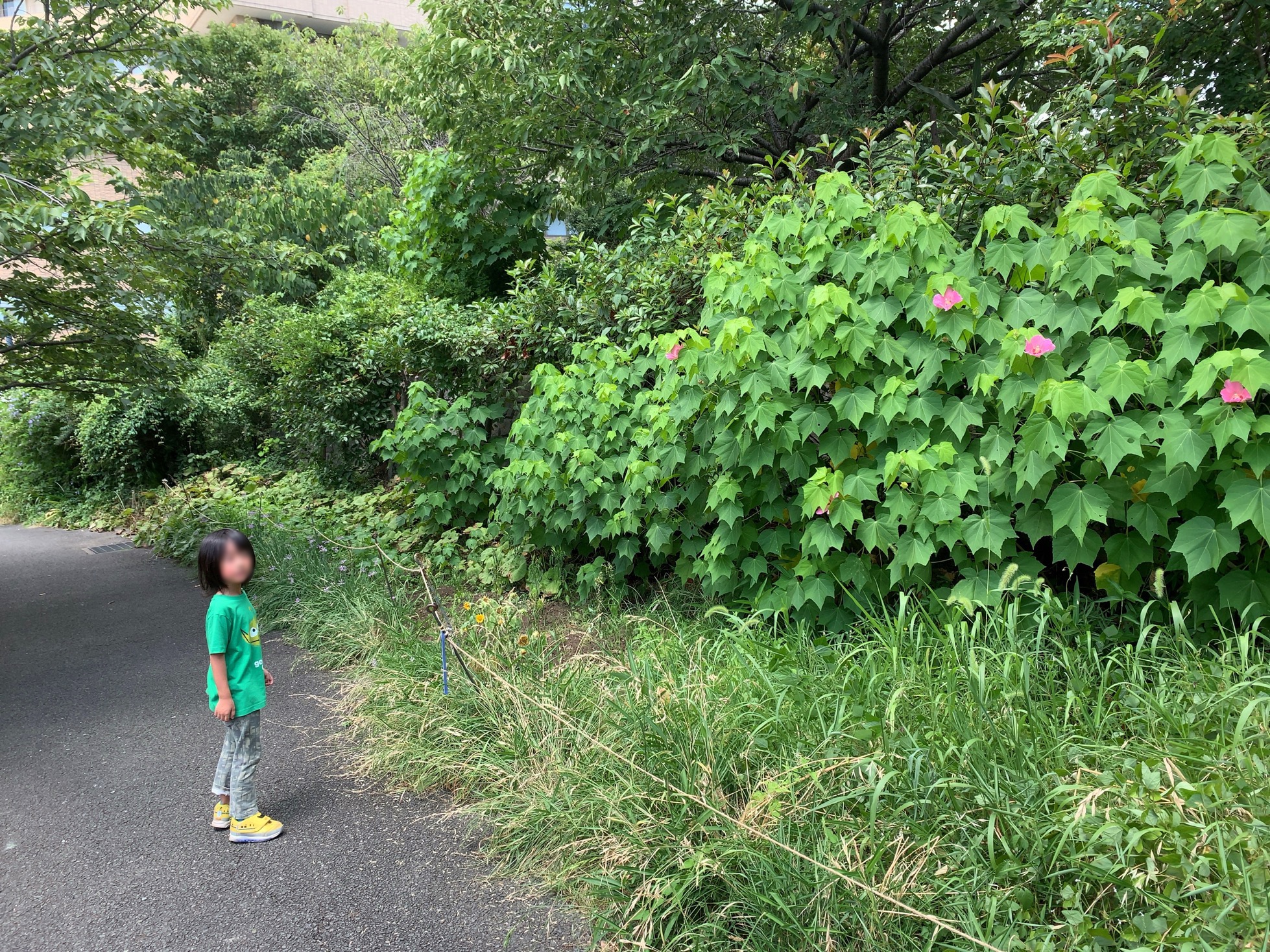 クリックで拡大(撮影:中野龍三)。