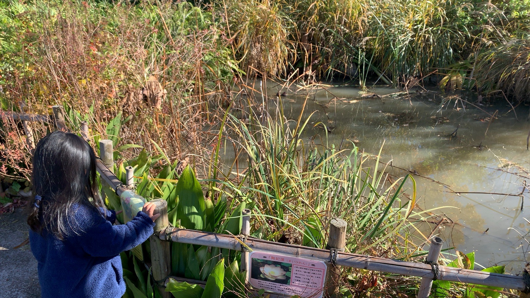 クリックで拡大(撮影:中野龍三)。