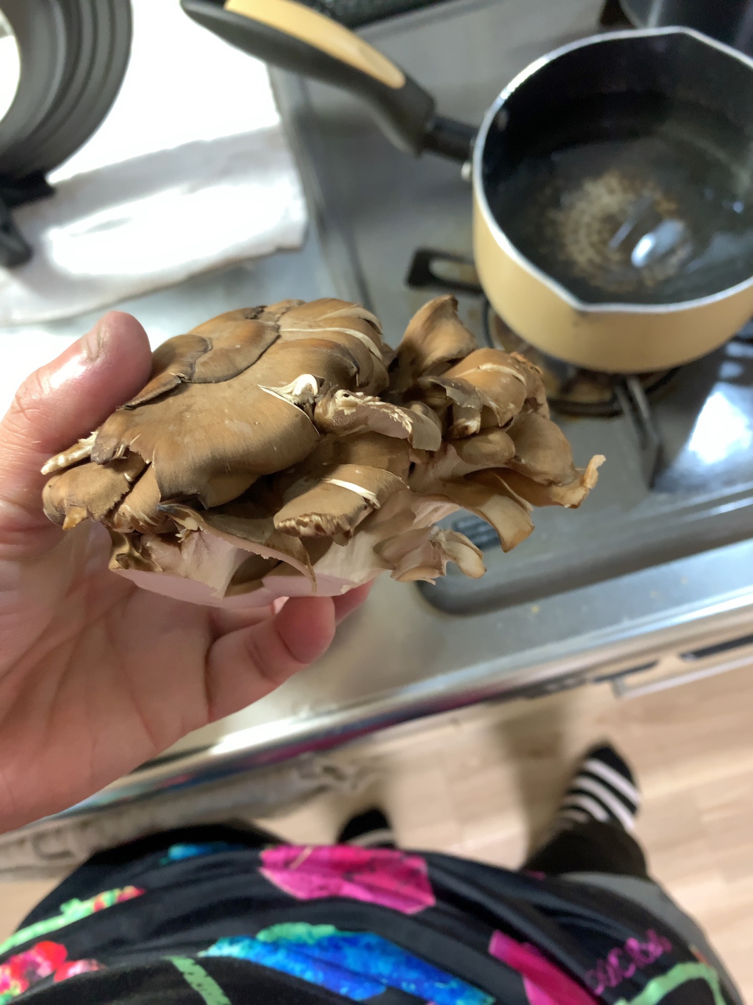 クリックで拡大(撮影:中野龍三)。