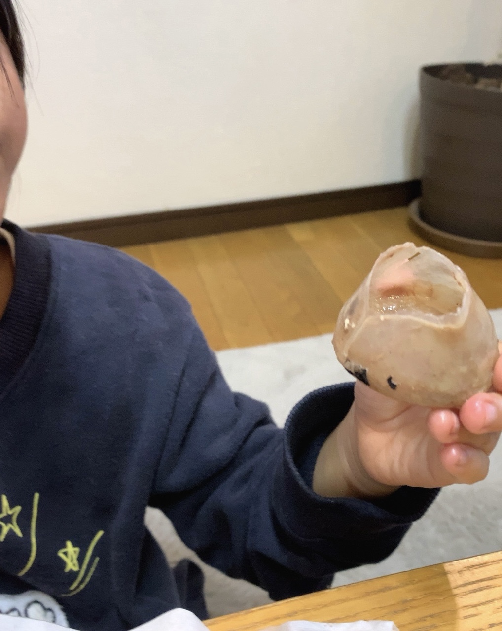 クリックで拡大(撮影:中野龍三)。