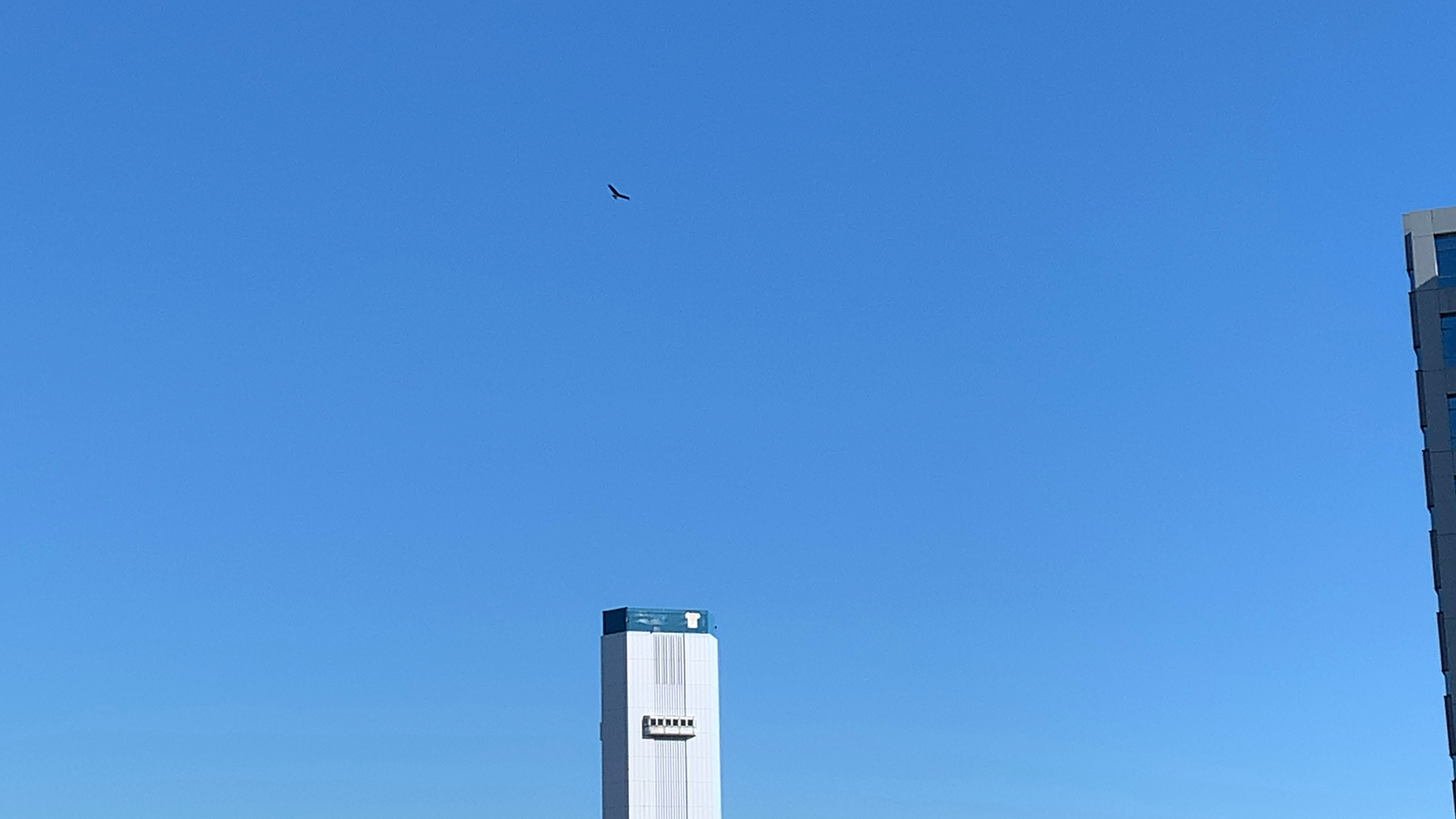 クリックで拡大(撮影:中野龍三)。