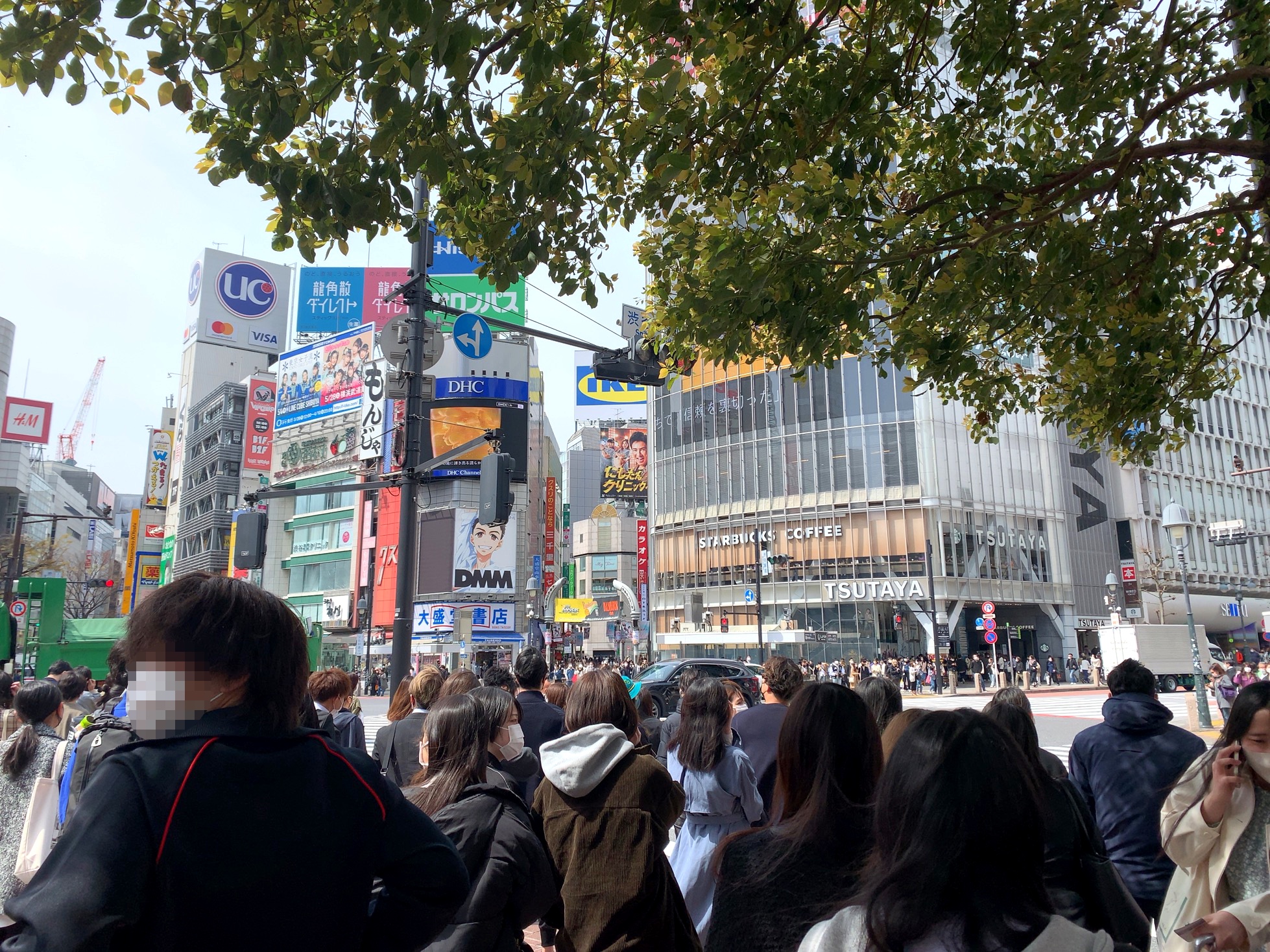 クリックで拡大(撮影:中野龍三)。